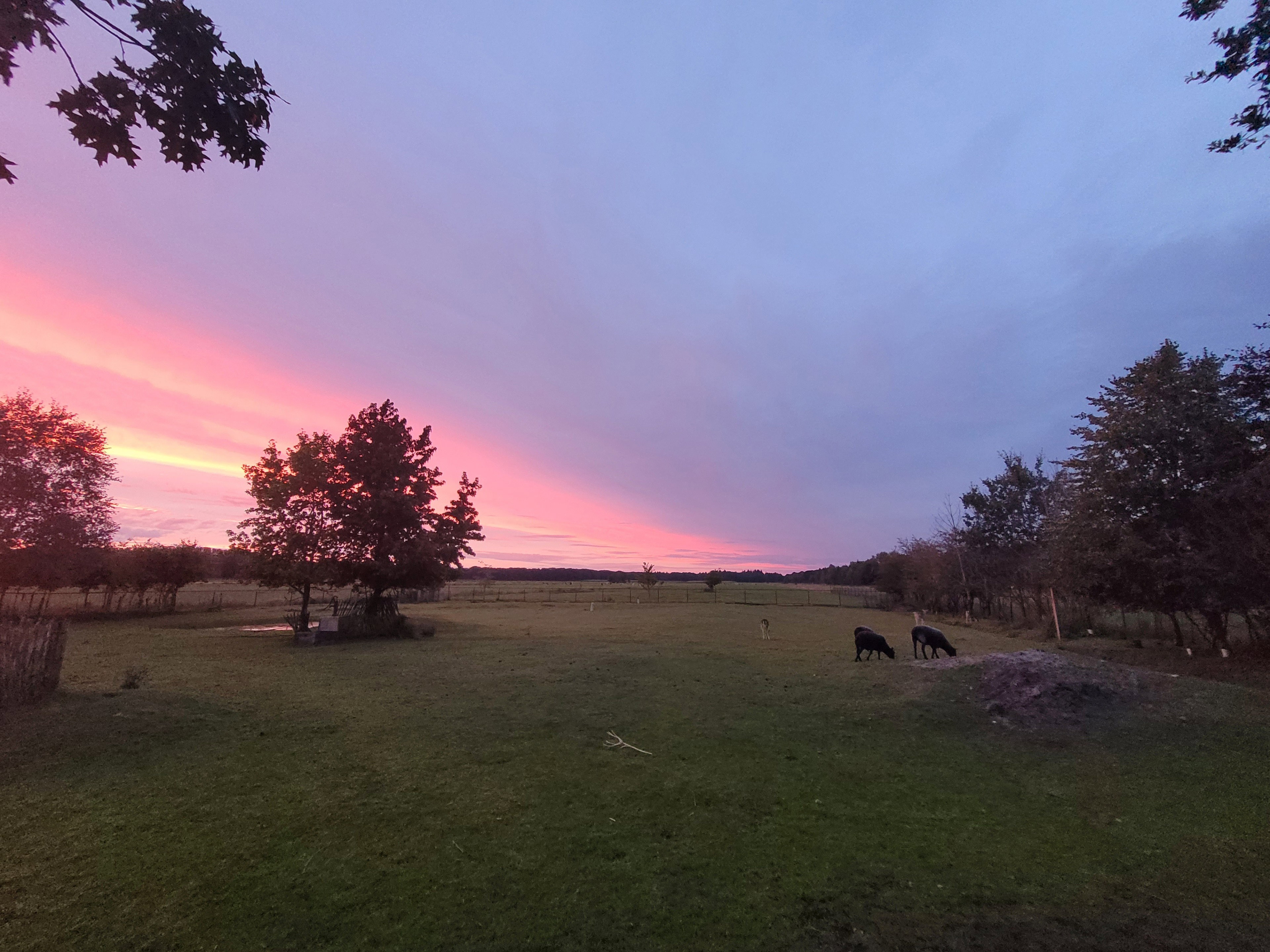 Maison nature à Maartensdijk