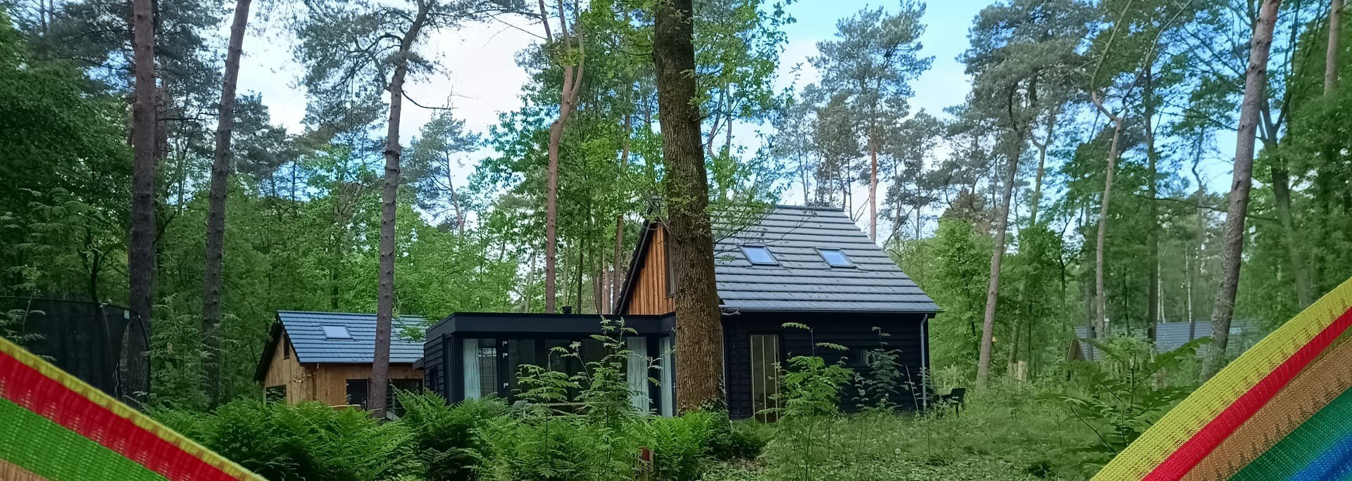 Casa nella natura a Lochem
