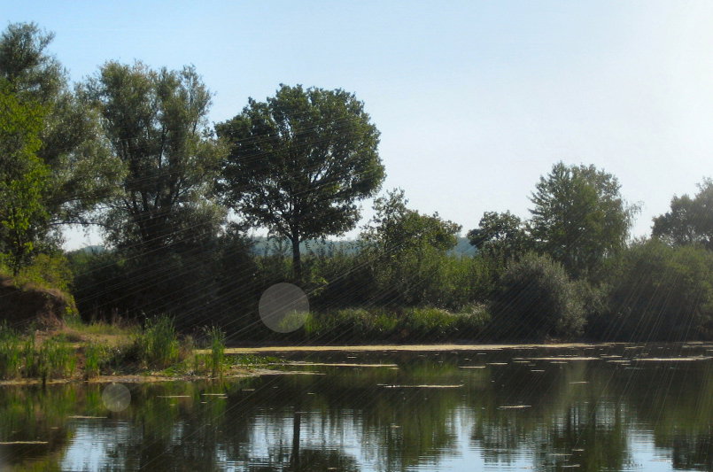 - image: 21