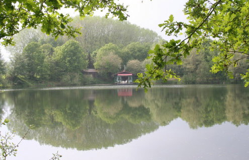 - image: 20