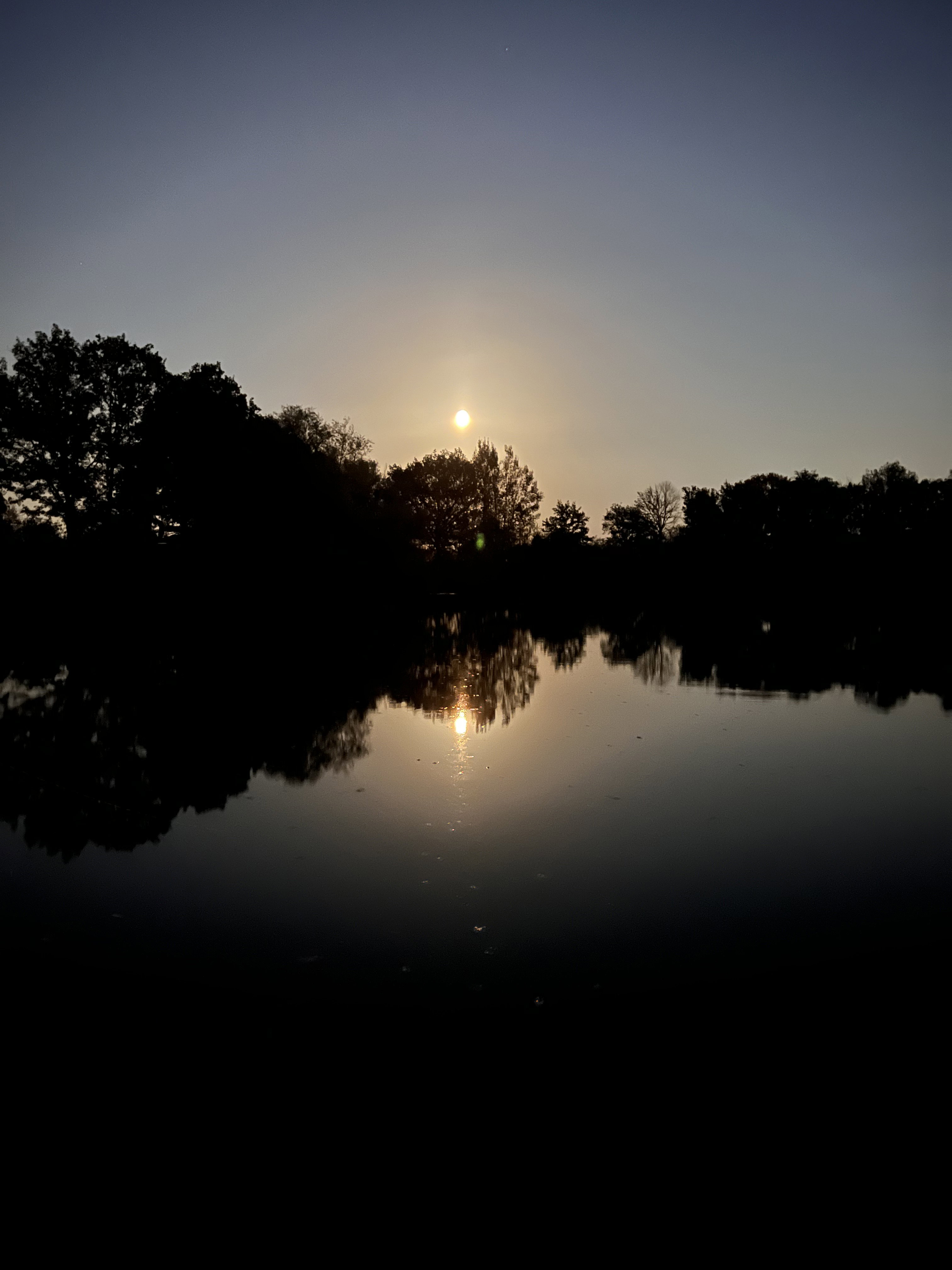 - image: 24