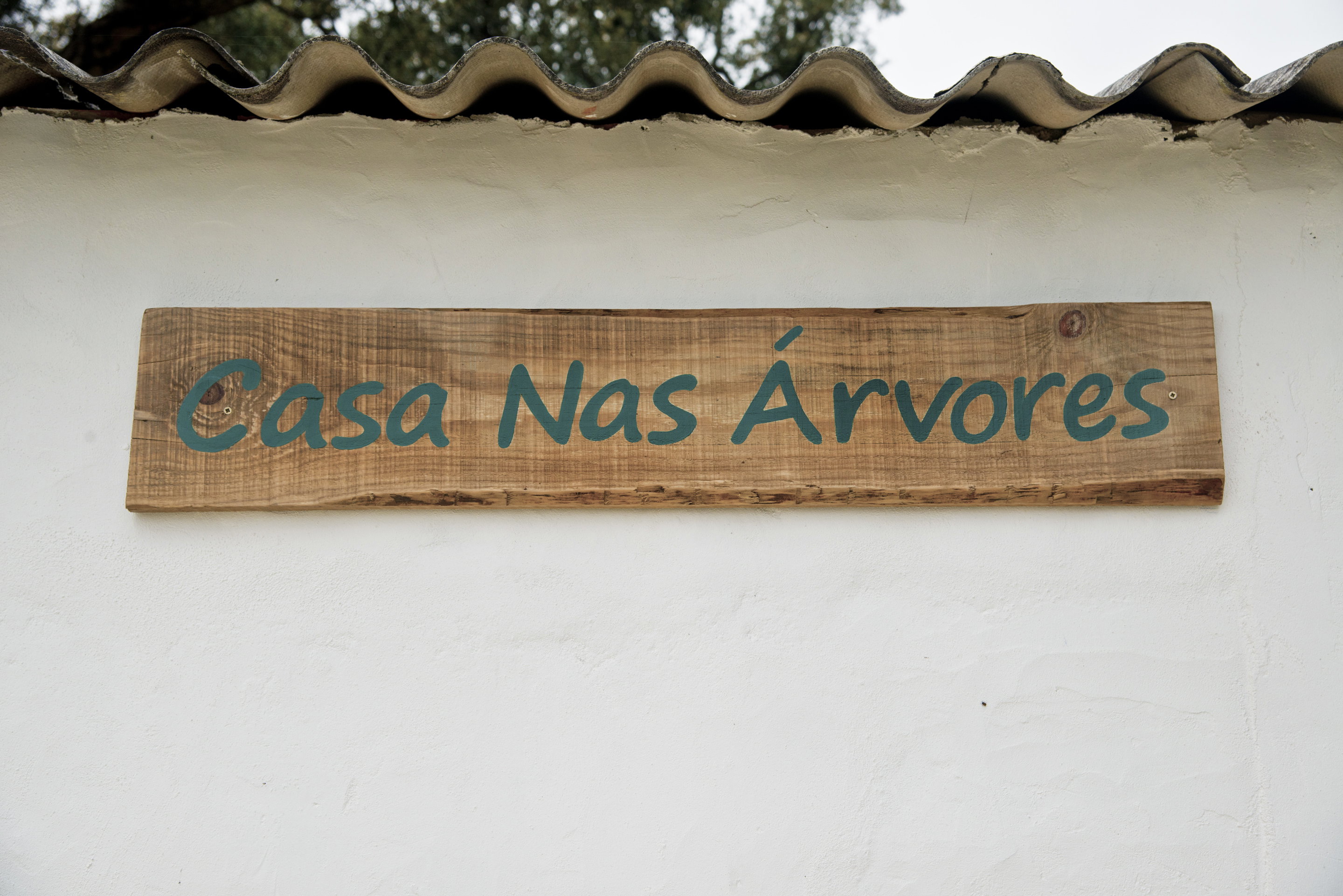 - image: 15