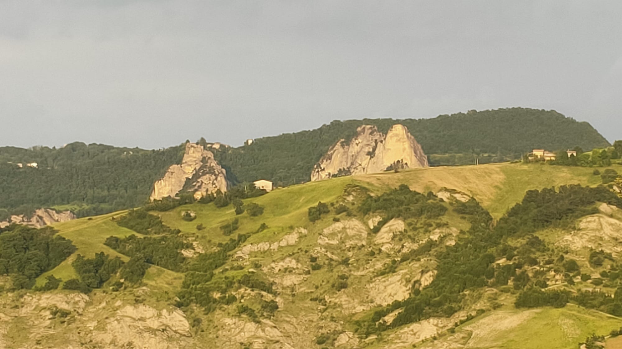 - image: 5