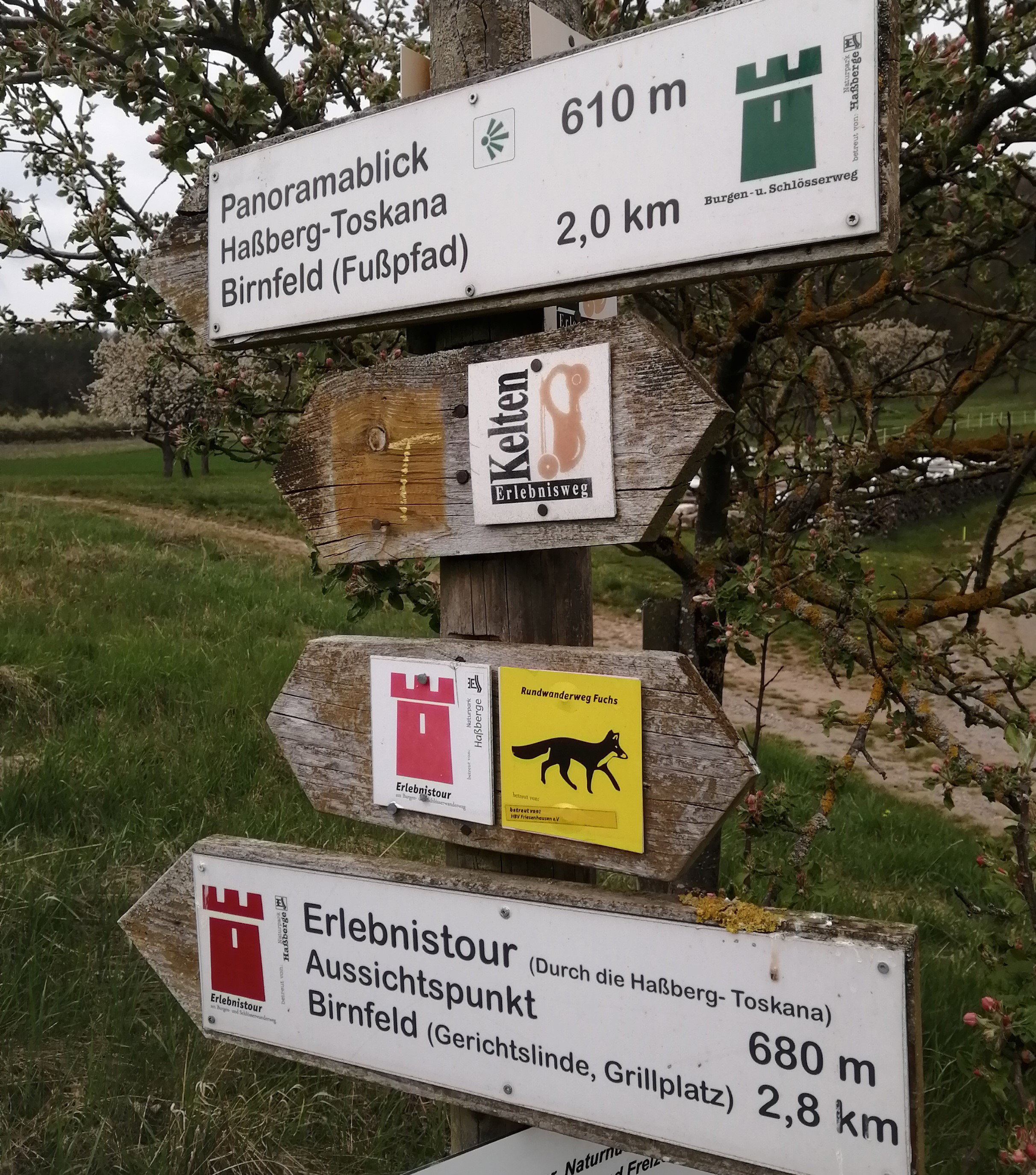- image: 11