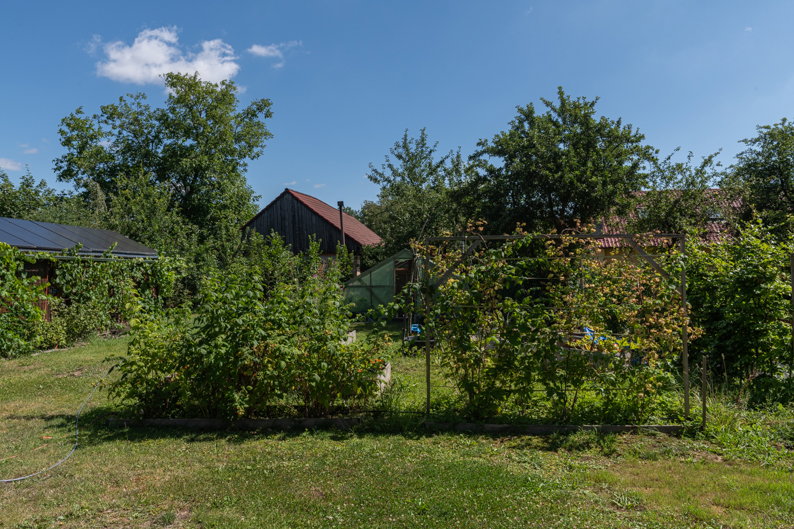 - image: 16