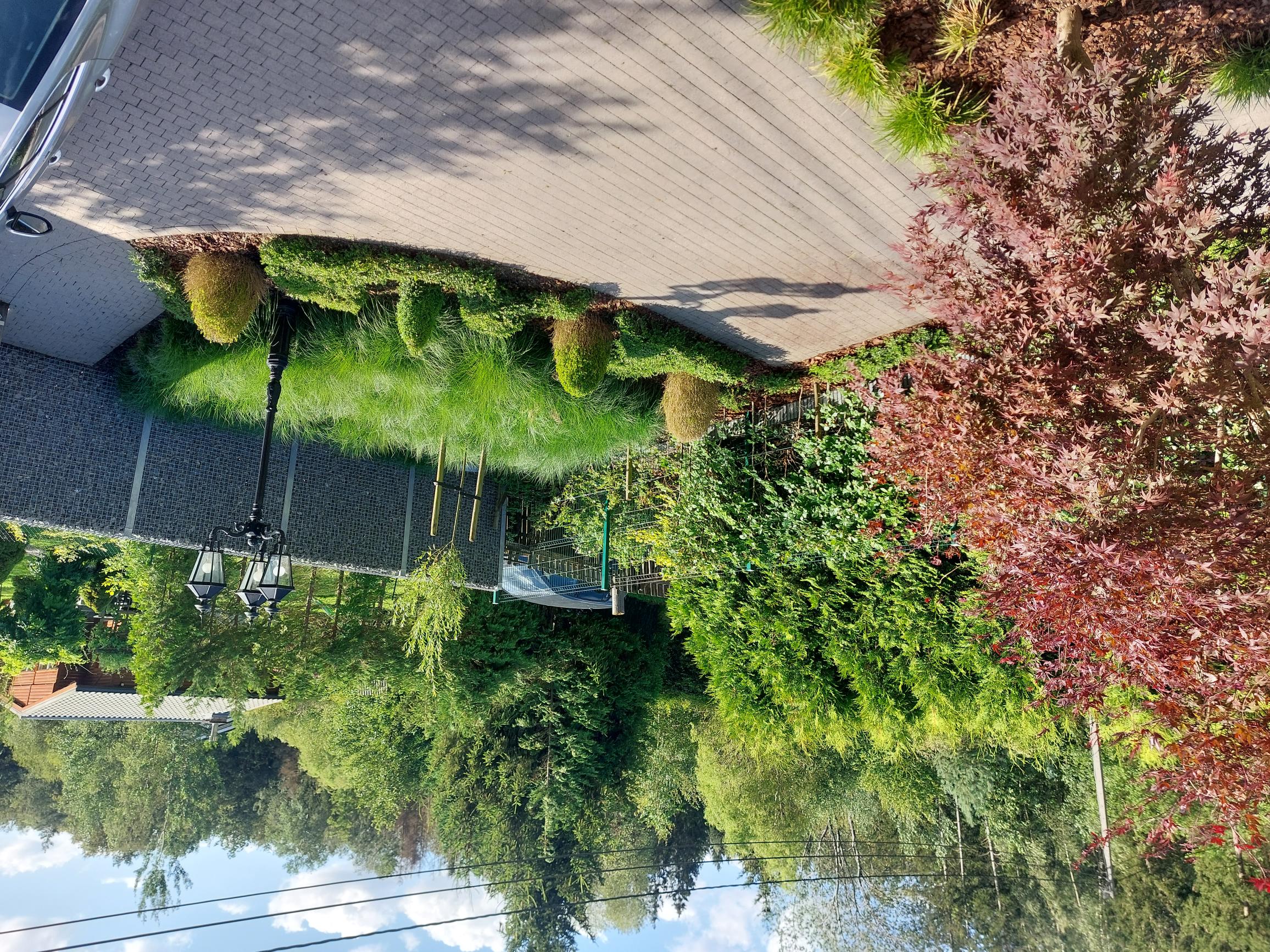 Maison nature à Erezée