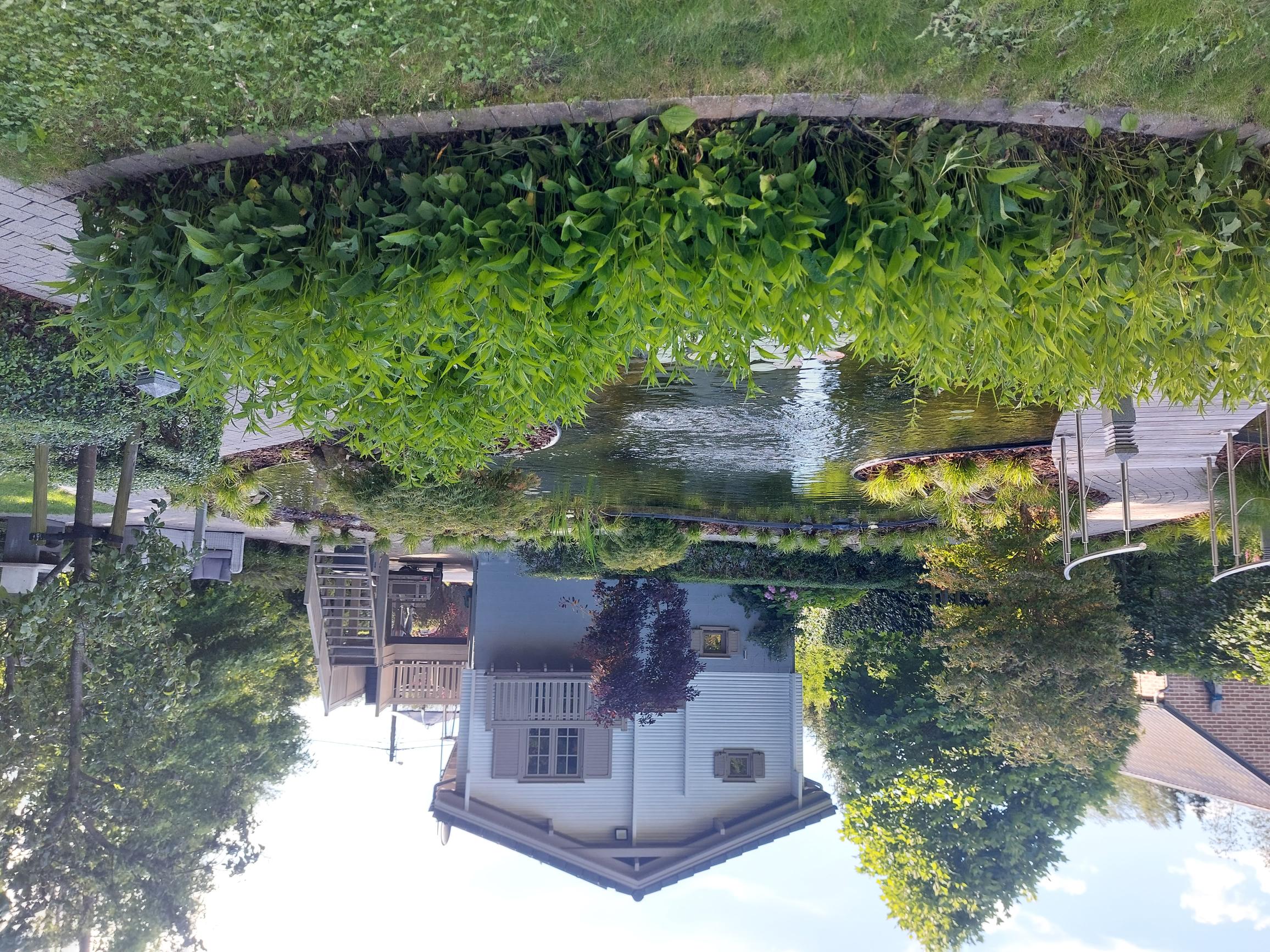 Maison nature à Erezée
