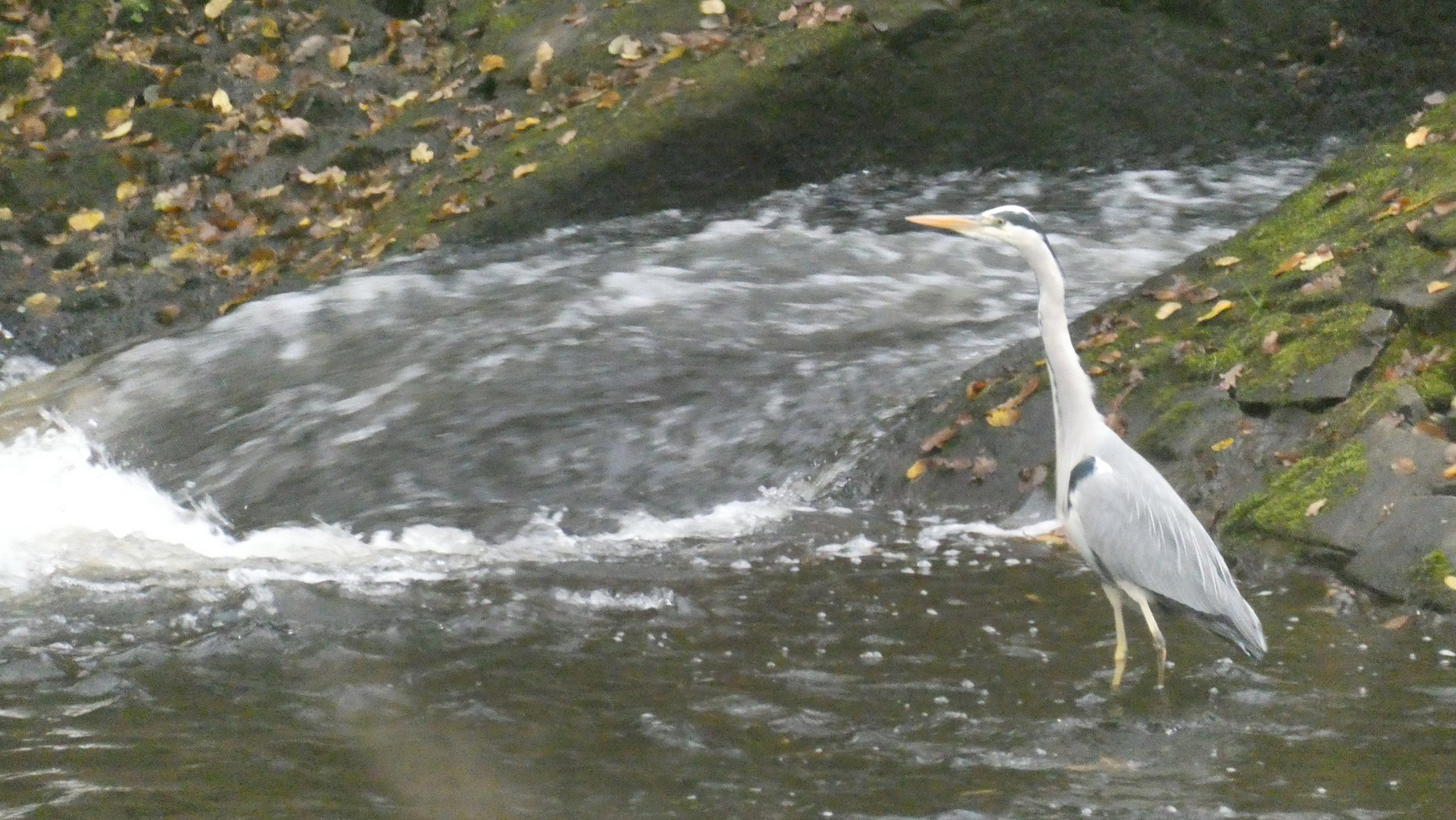Natuurhuisje in Nanthiat