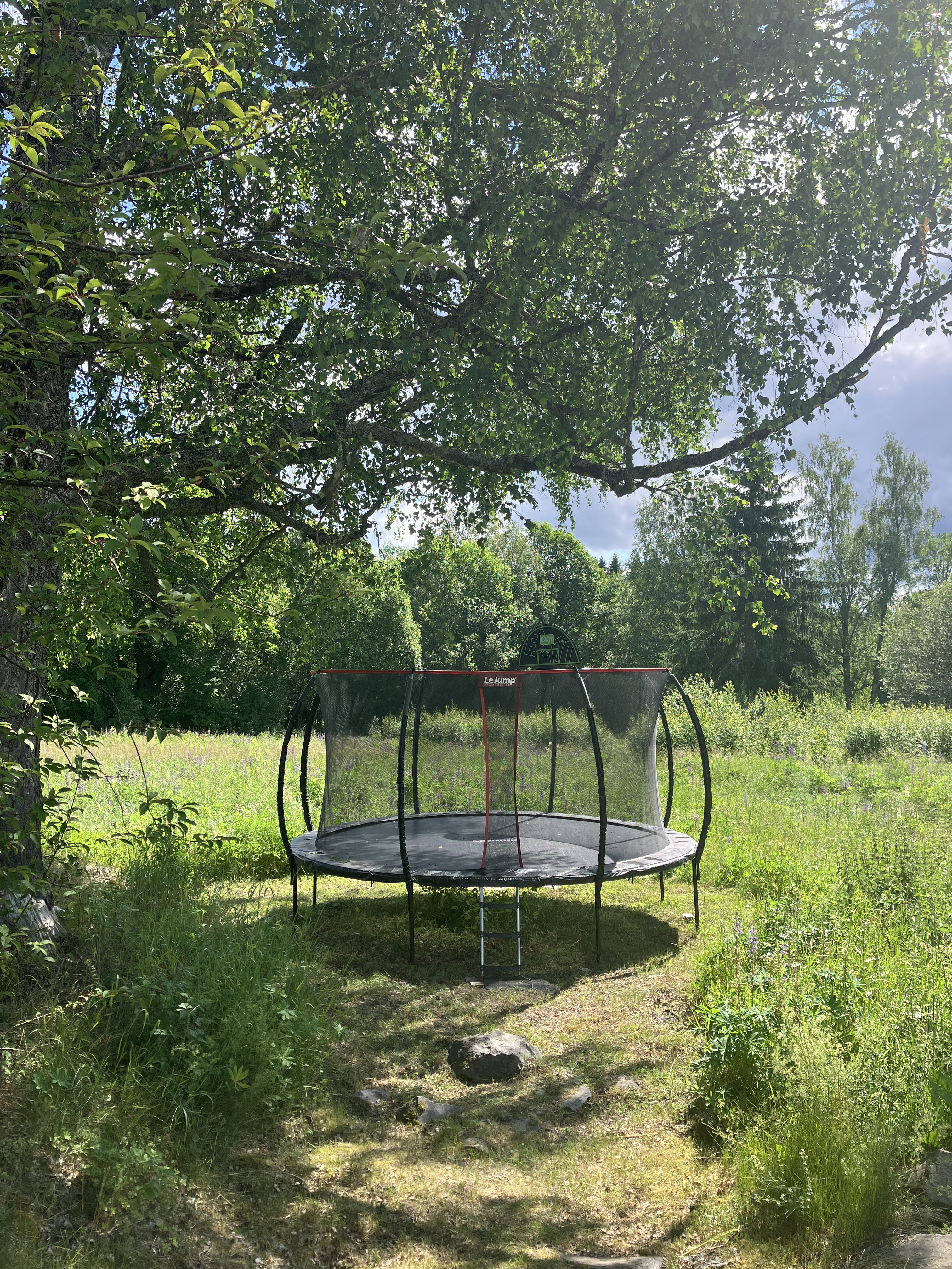 Natuurhuisje in Nordmarkshyttan