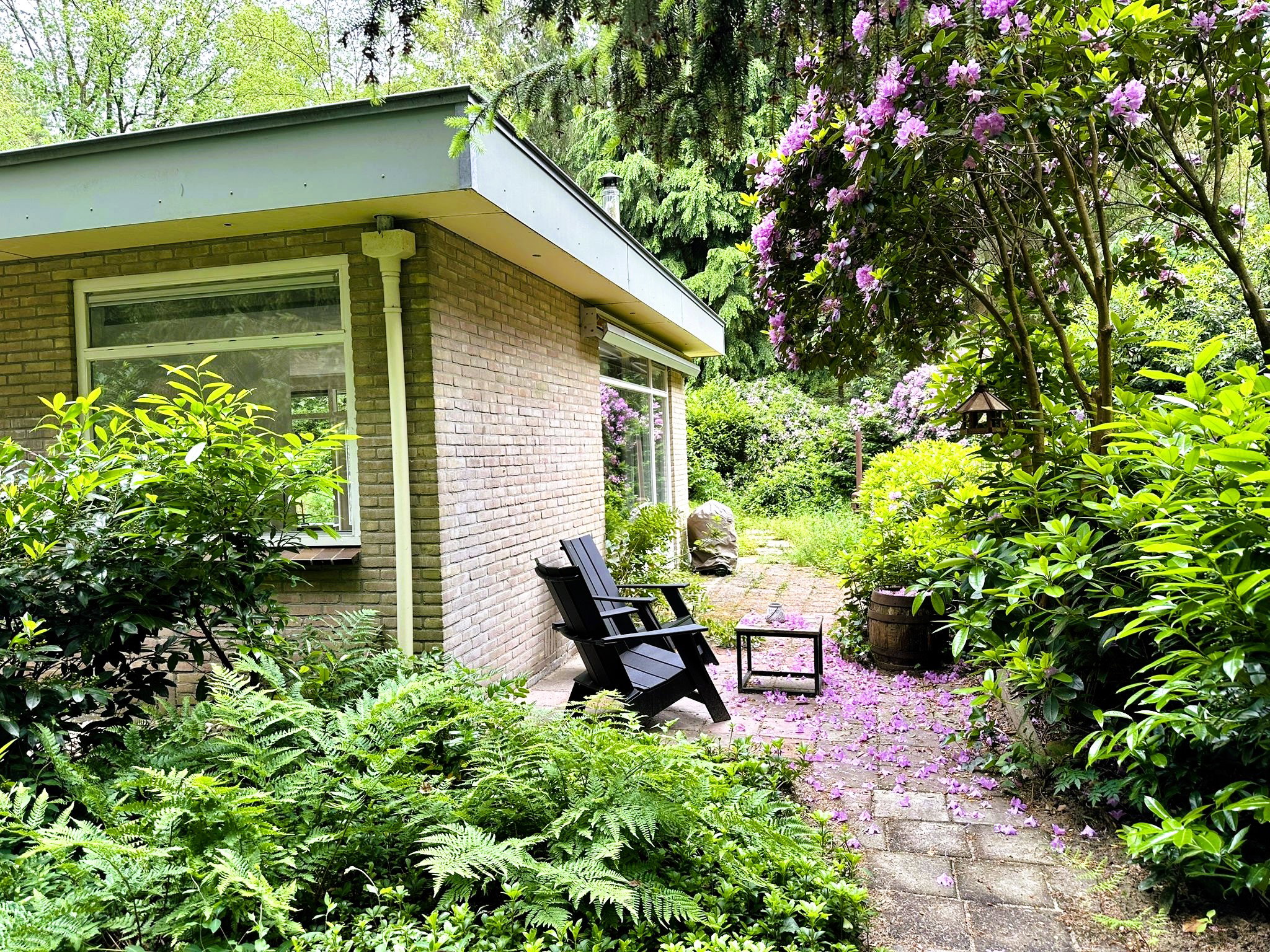 Casa nella natura a Wateren (Westerveld)