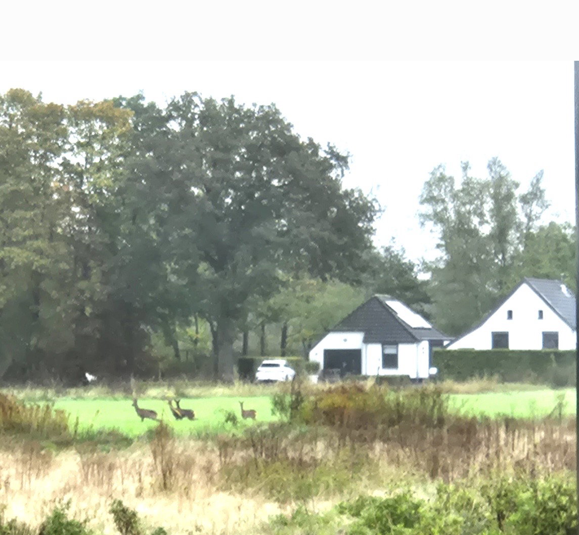 Maison nature à Assen
