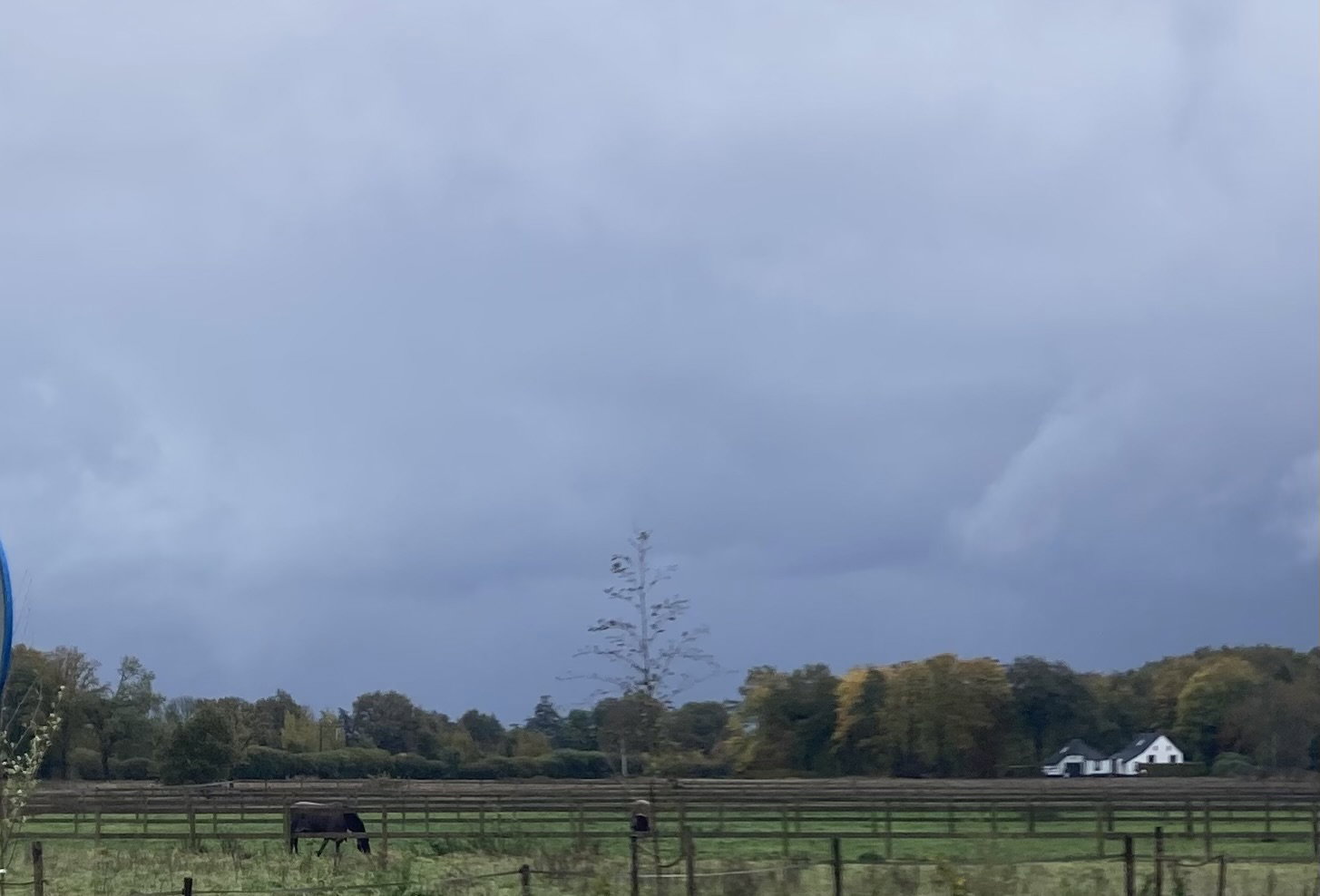 Natuurhuisje in Assen
