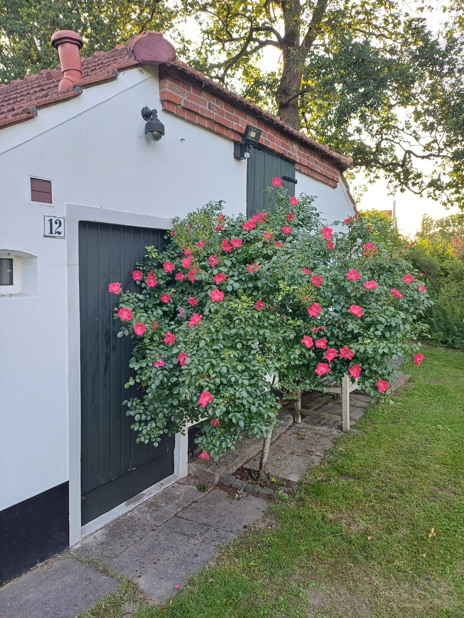 Casa nella natura a Rhauderfehn