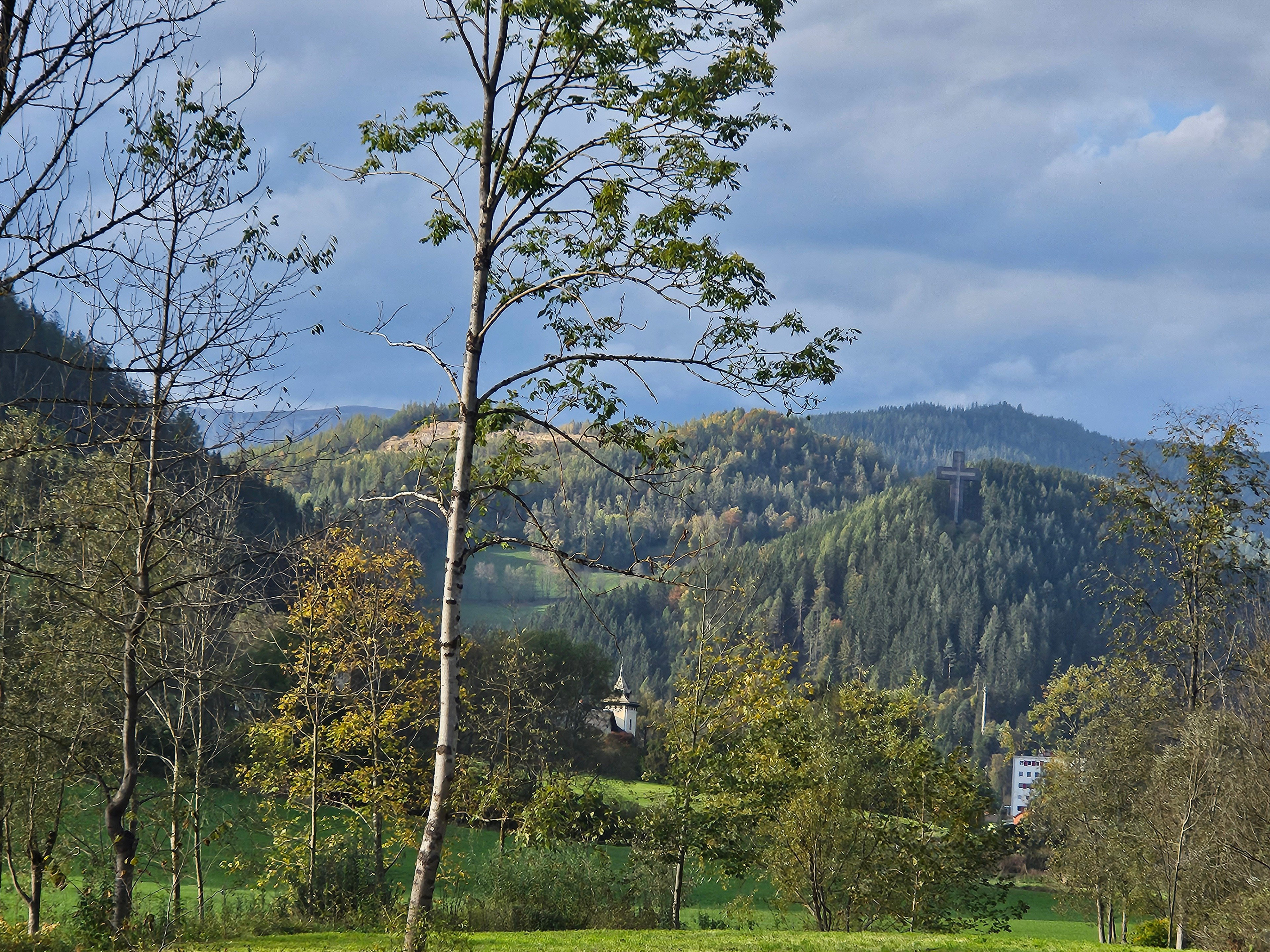- image: 16
