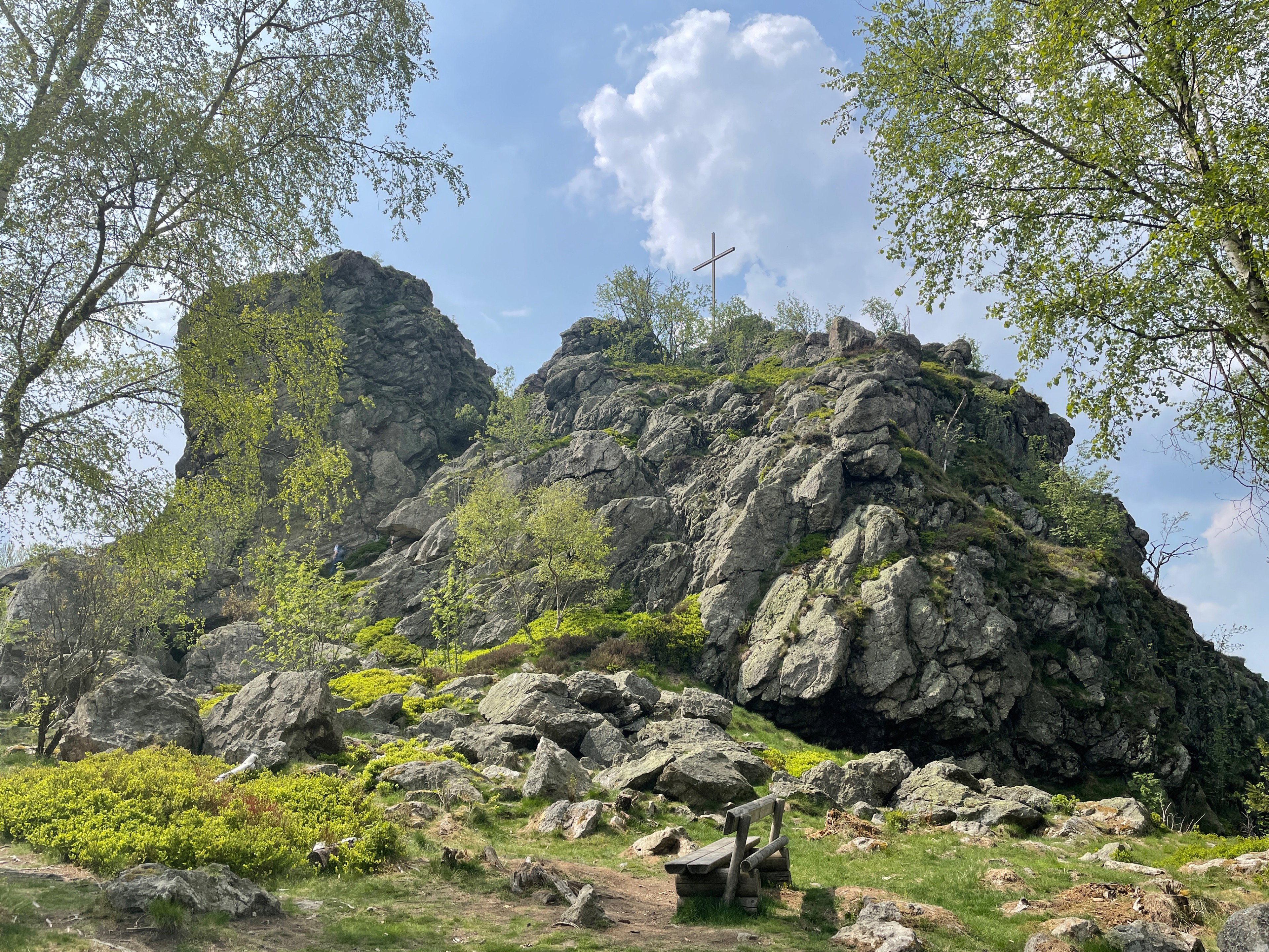 - image: 55
