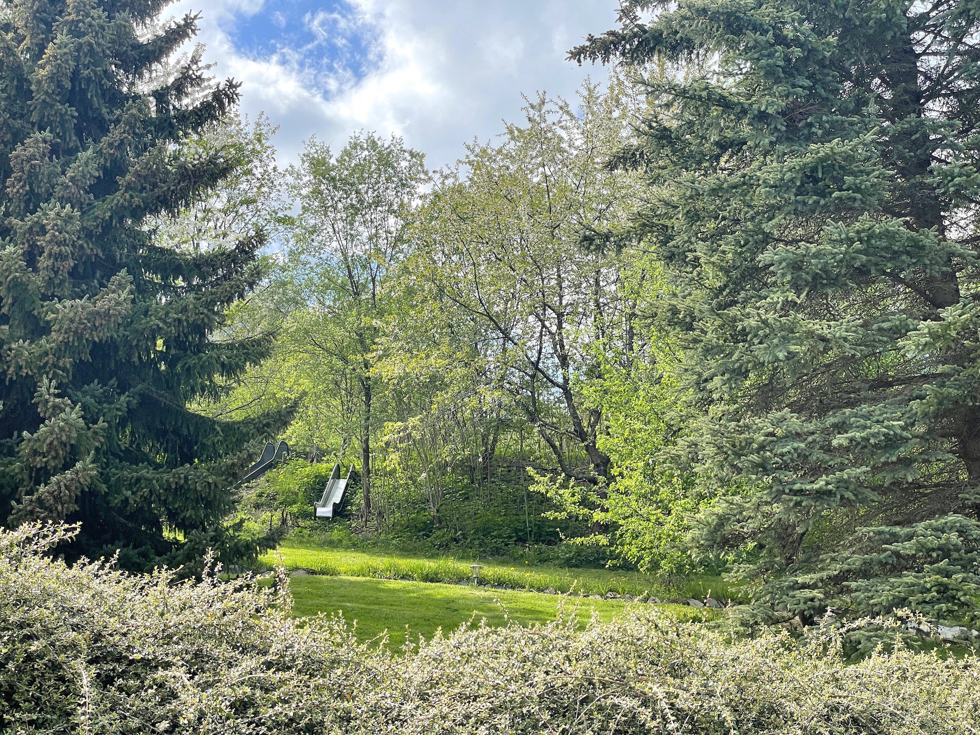 Natuurhuisje in Willingen - Schwalefeld