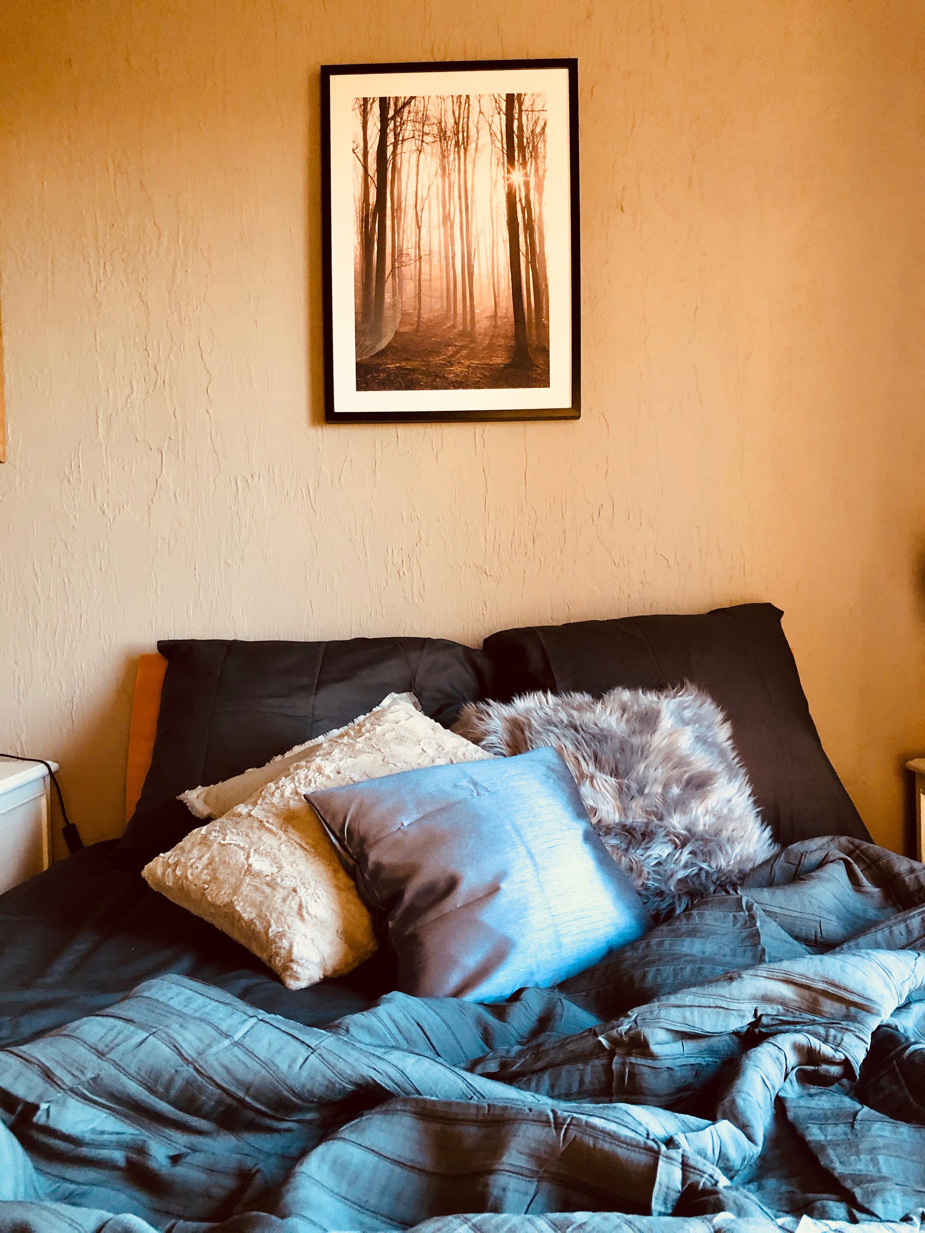 - image: 50