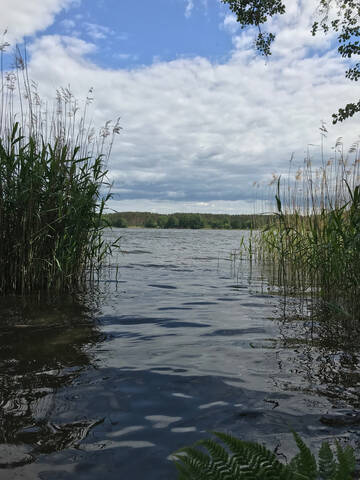- image: 13