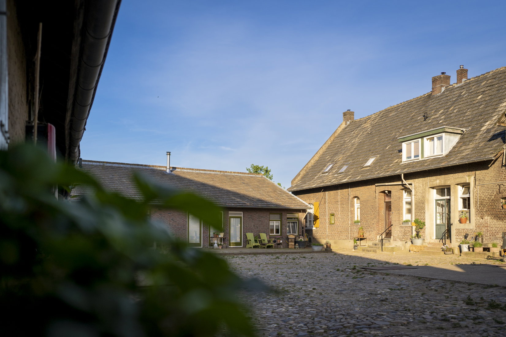 - image: 12