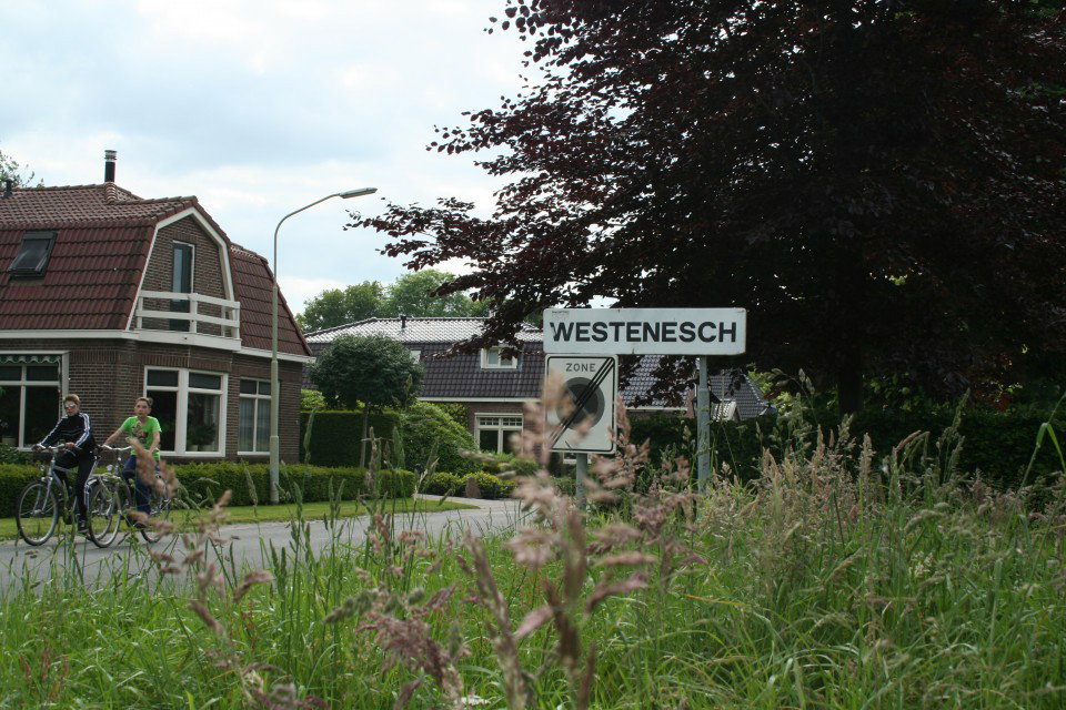 - image: 14