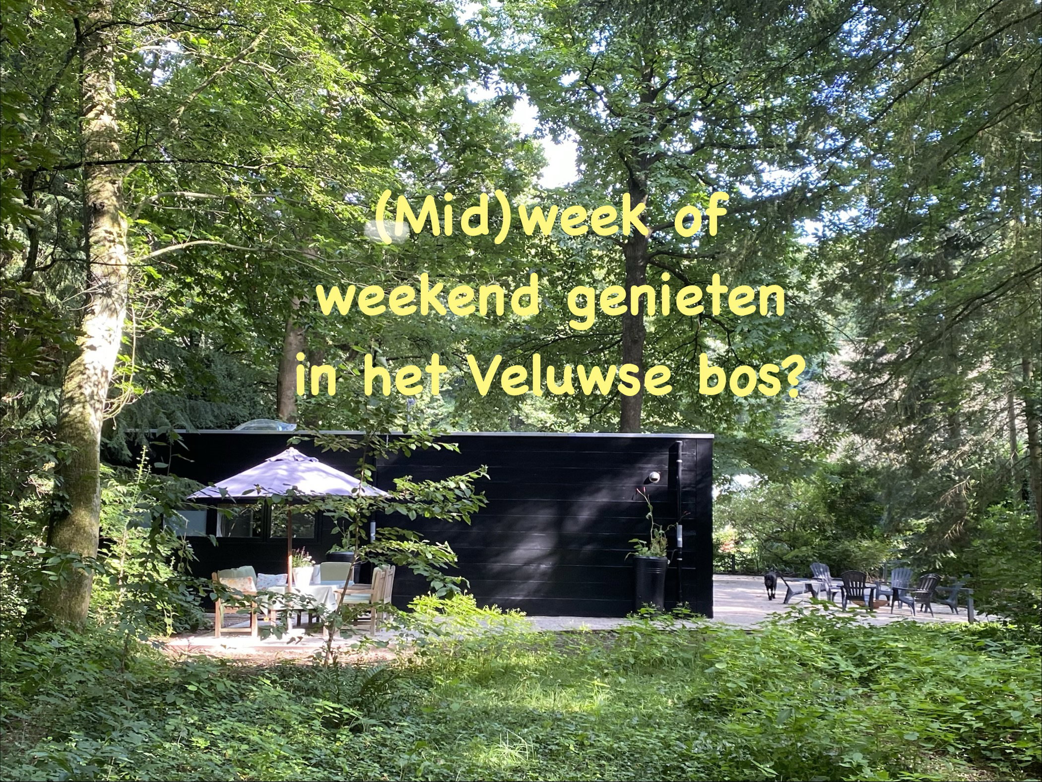 Natuurhuisje in Hattem op de Veluwe