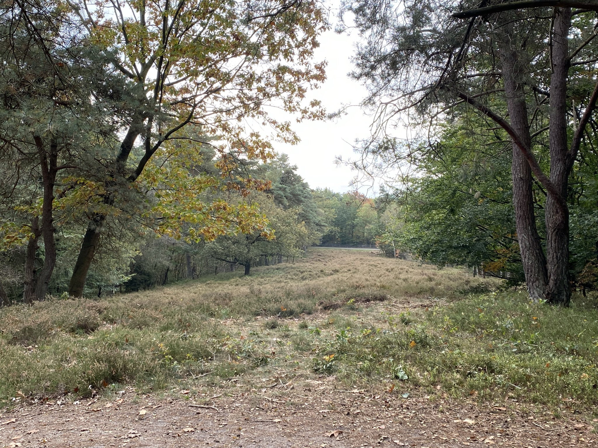 - image: 47