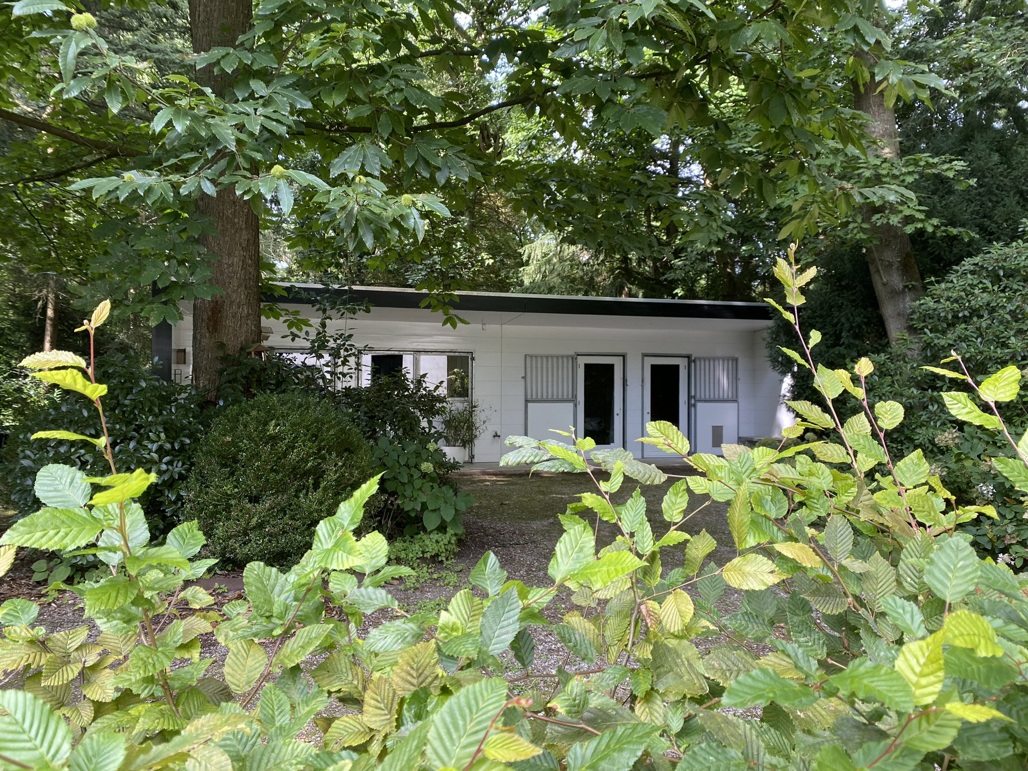 Naturhäuschen in Hattem op de Veluwe