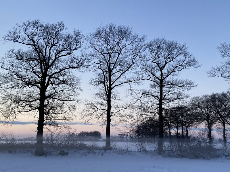 Naturhäuschen in Kring van Dorth