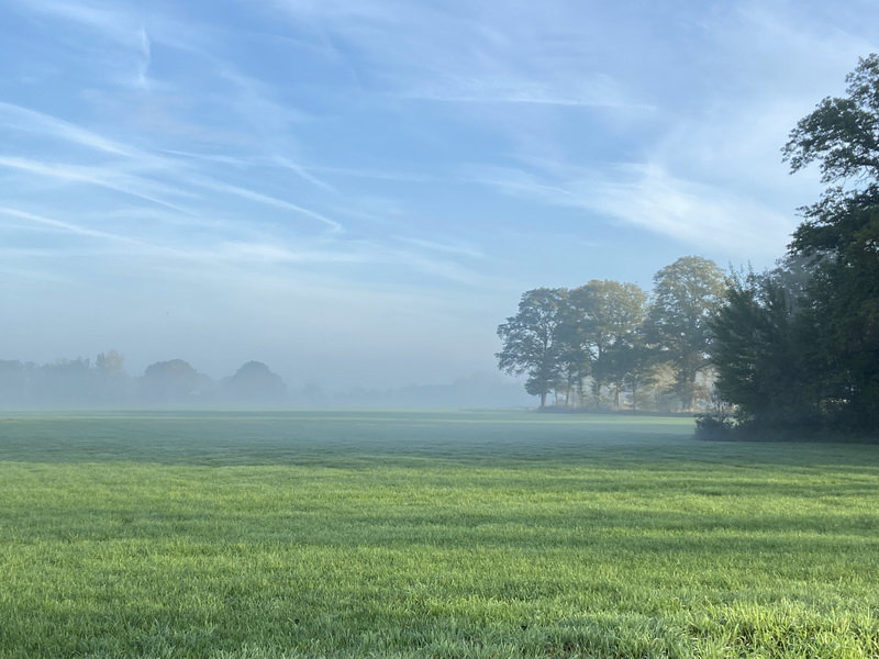Naturhäuschen in Kring van Dorth