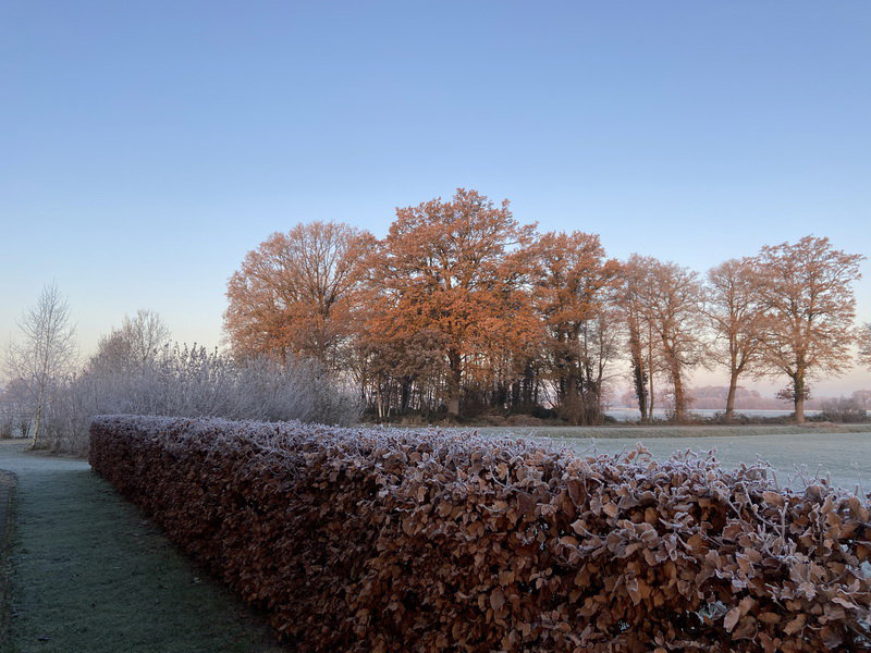 Naturhäuschen in Kring van Dorth