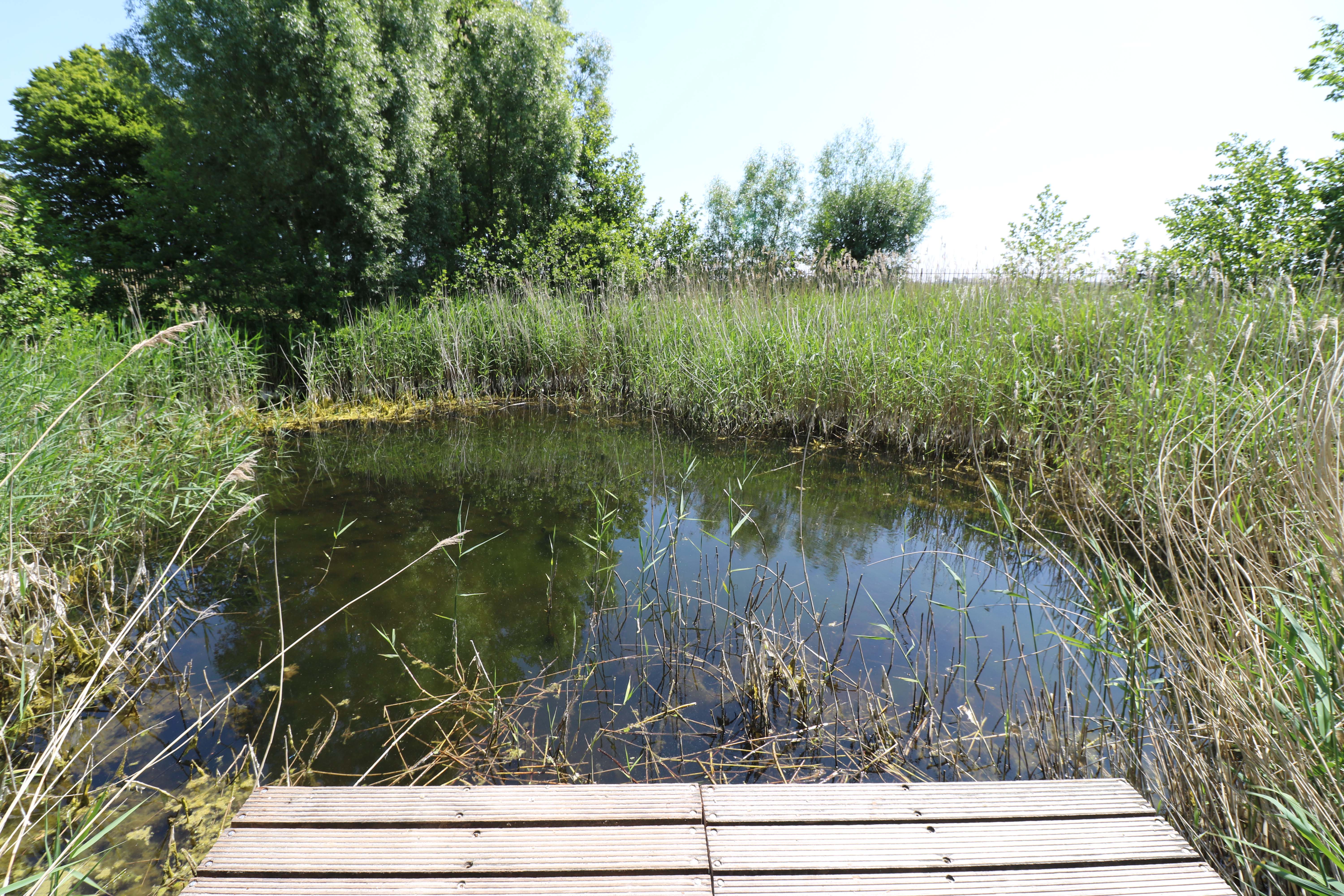 Naturhäuschen in Arnemuiden