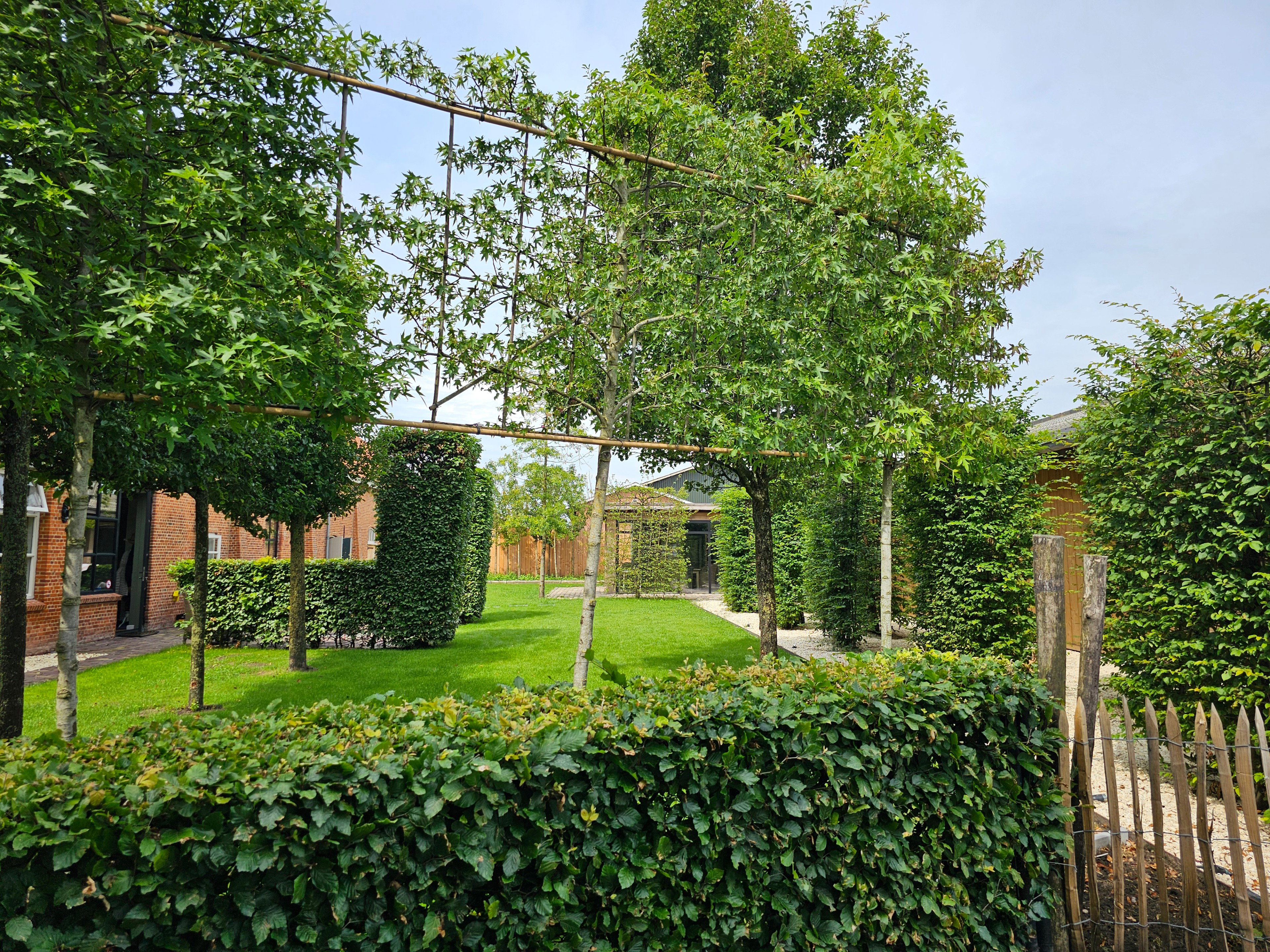 - image: 24