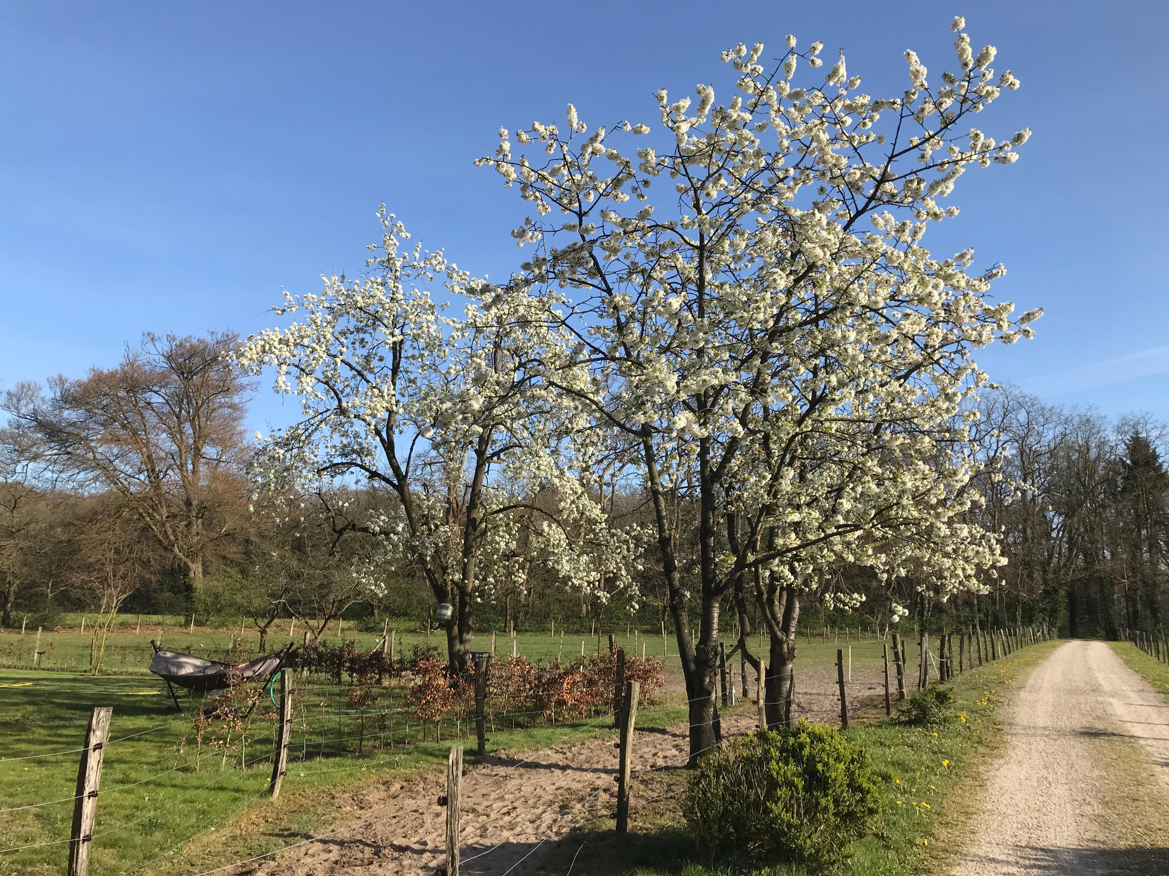 Naturhäuschen in Laren