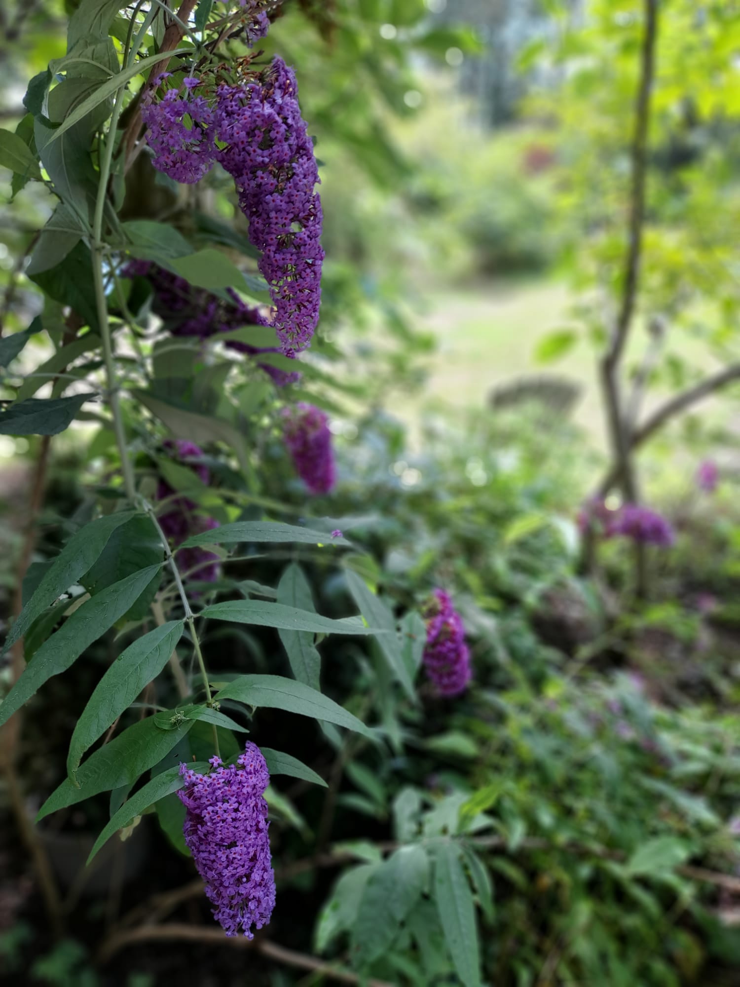 - image: 22