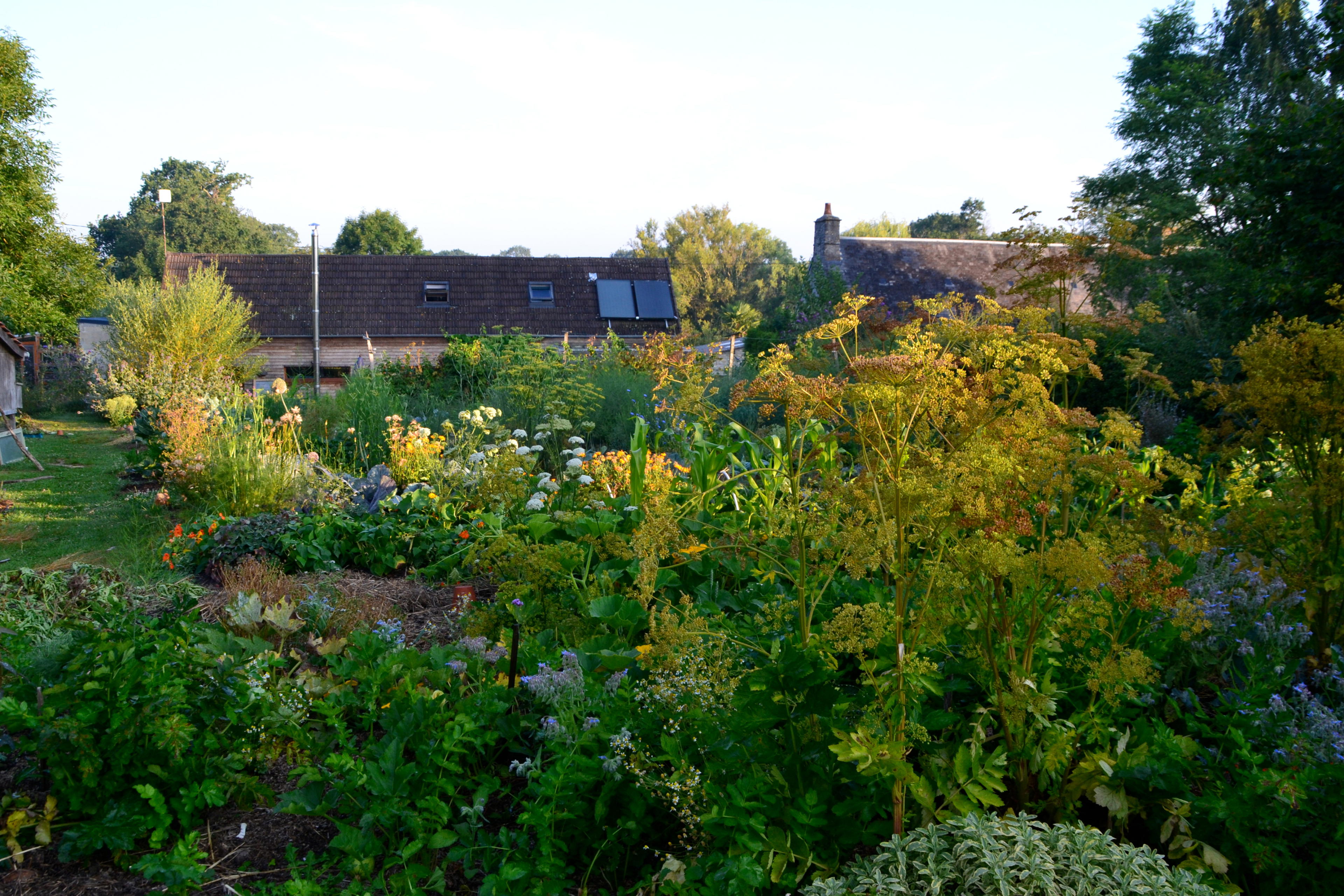 Nature house in Amfreville