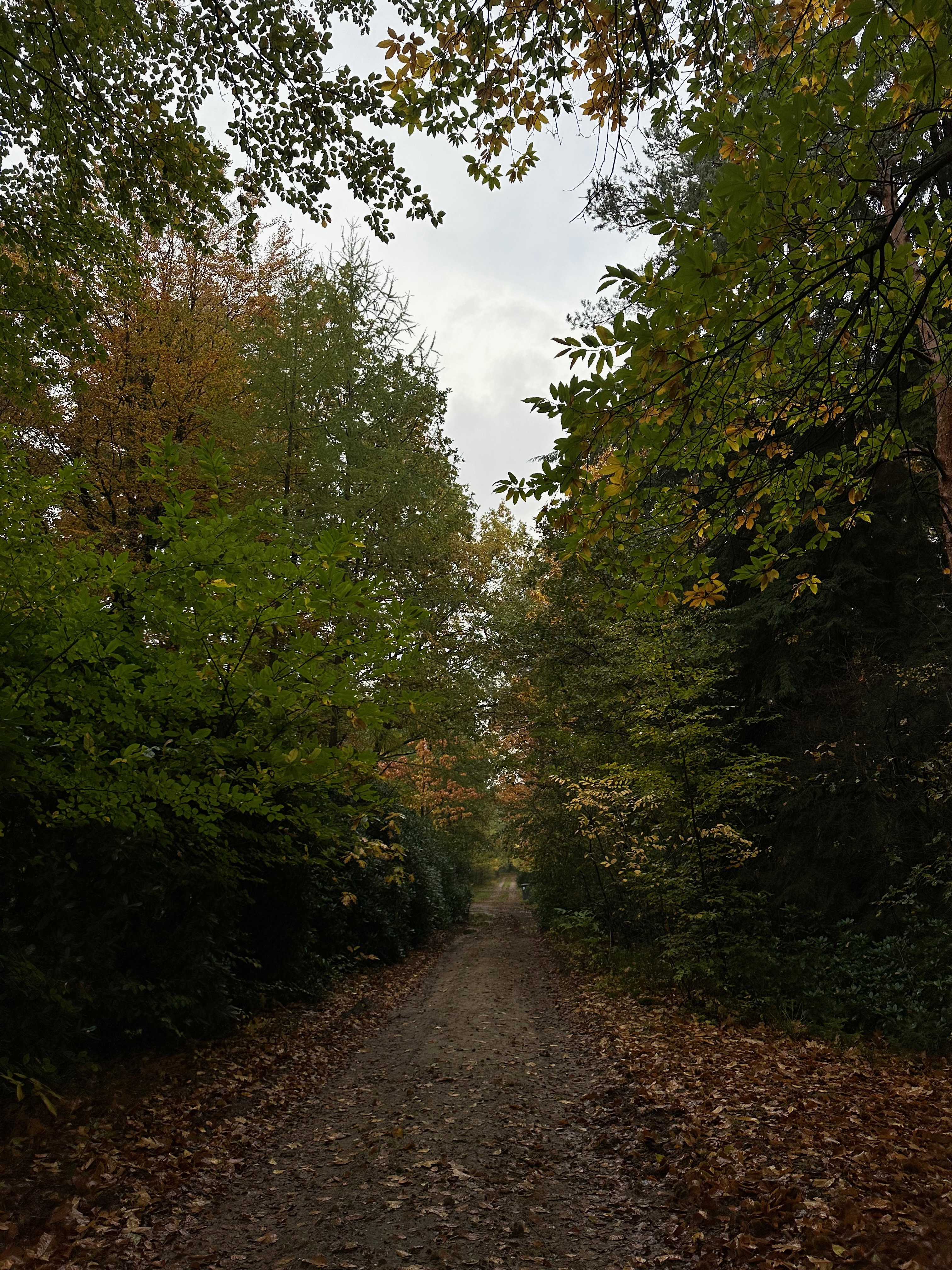 - image: 44