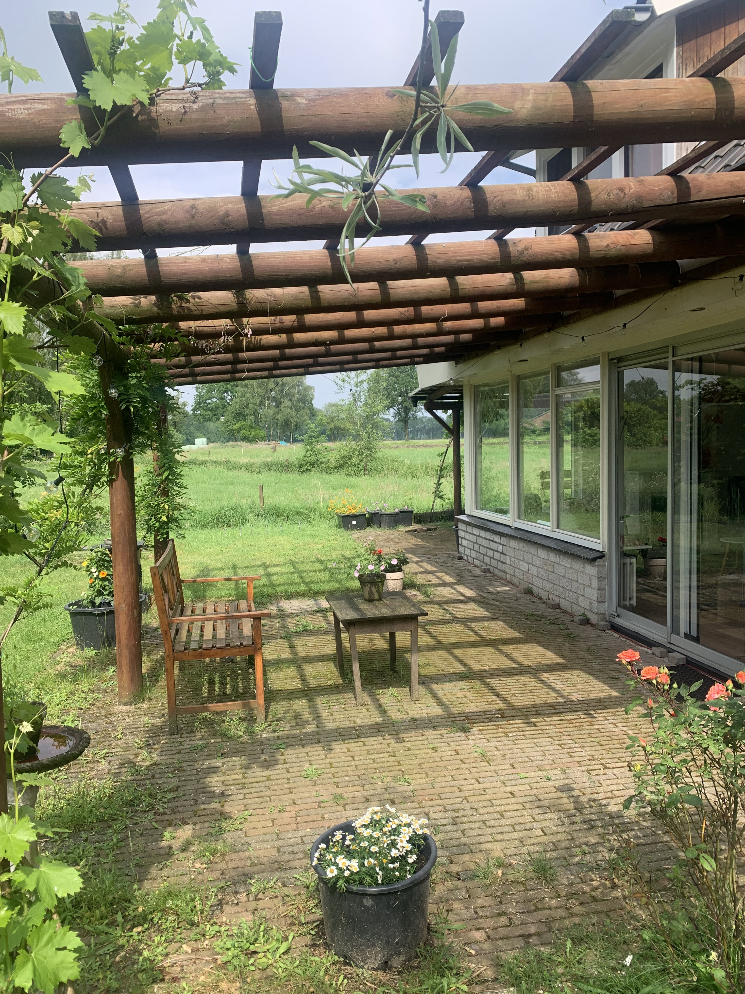 Natuurhuisje in Reutum