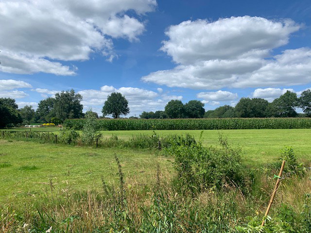 Natuurhuisje in Reutum