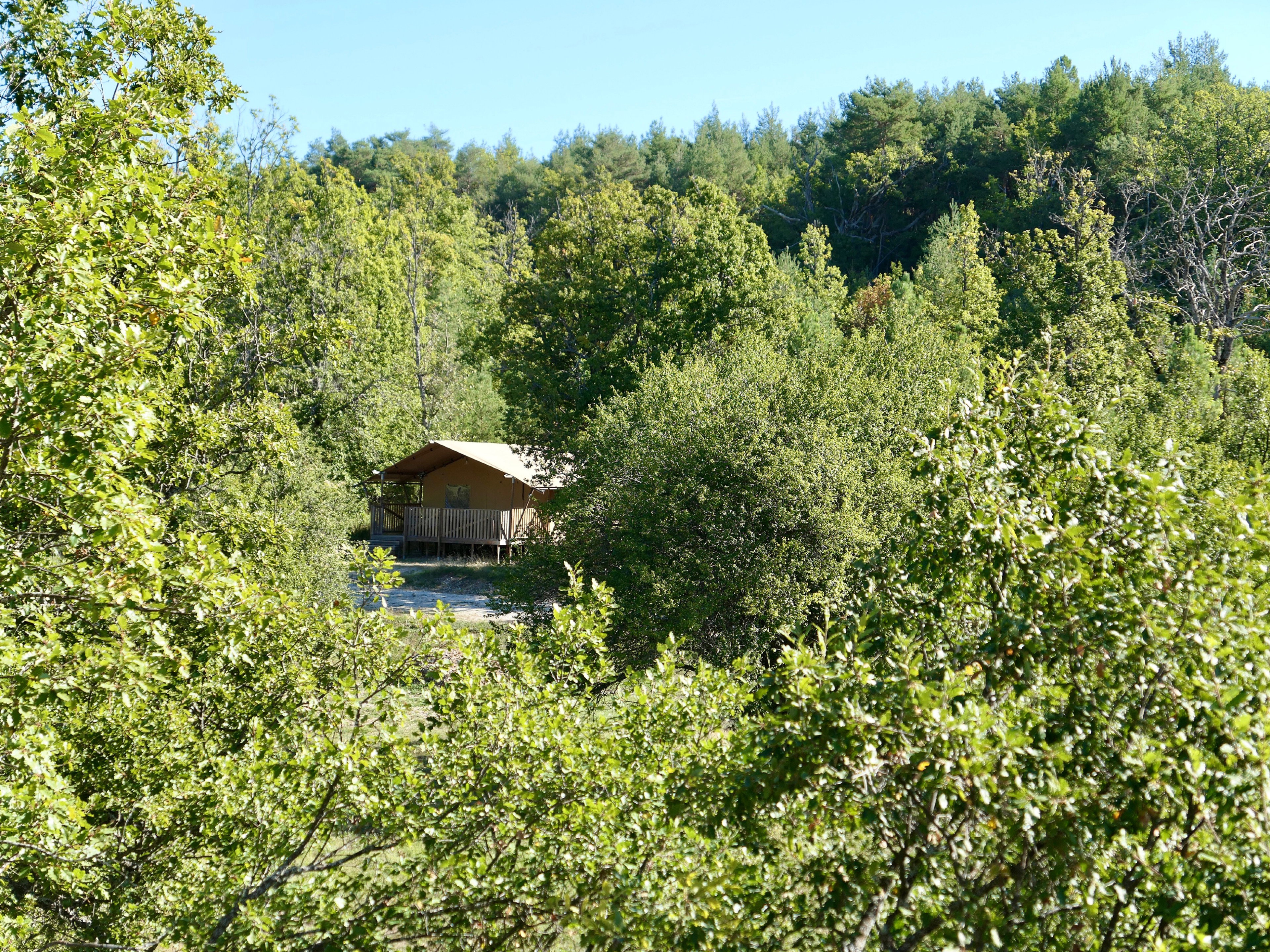 - image: 1