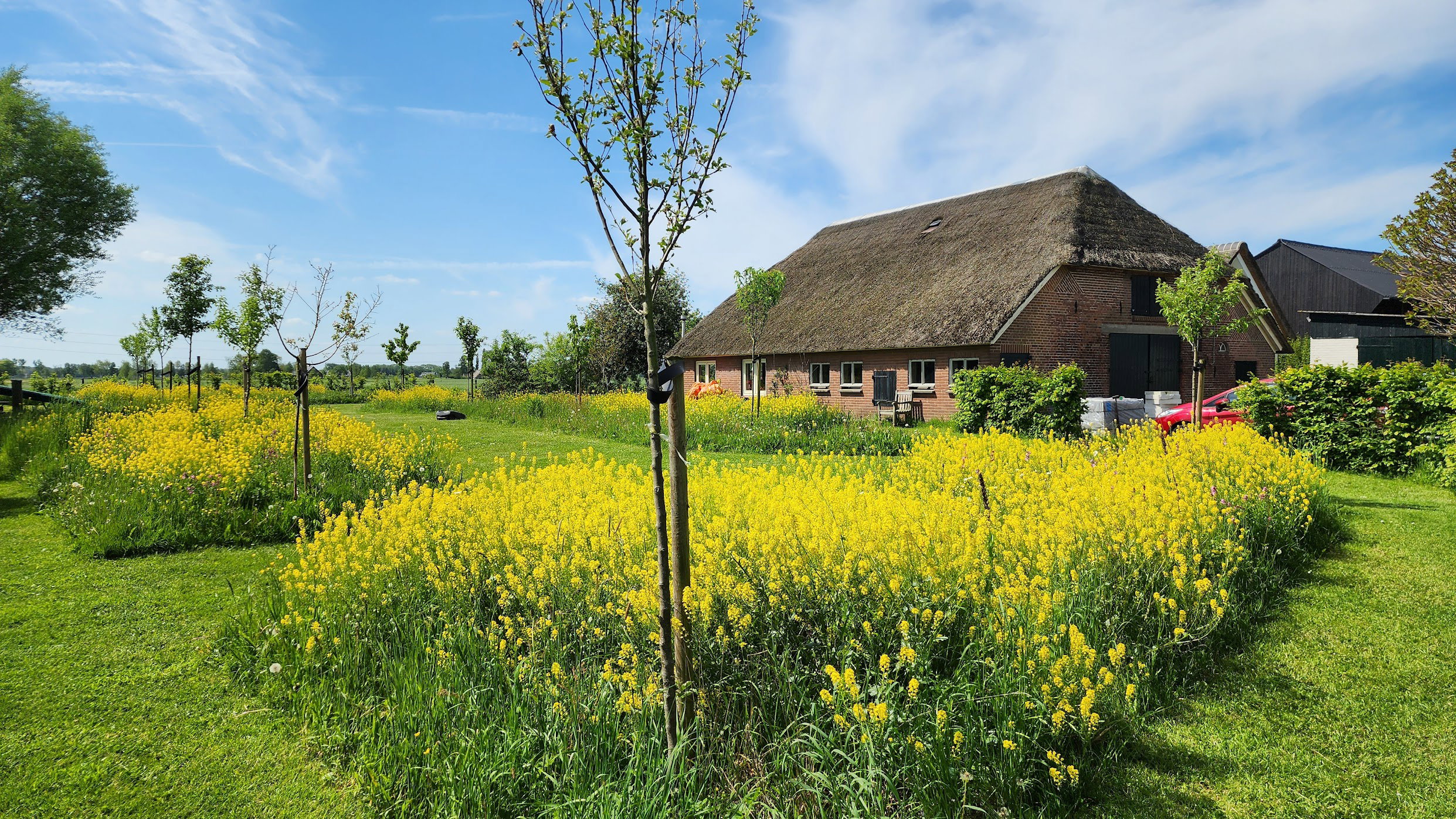 Maison nature à Klarenbeek