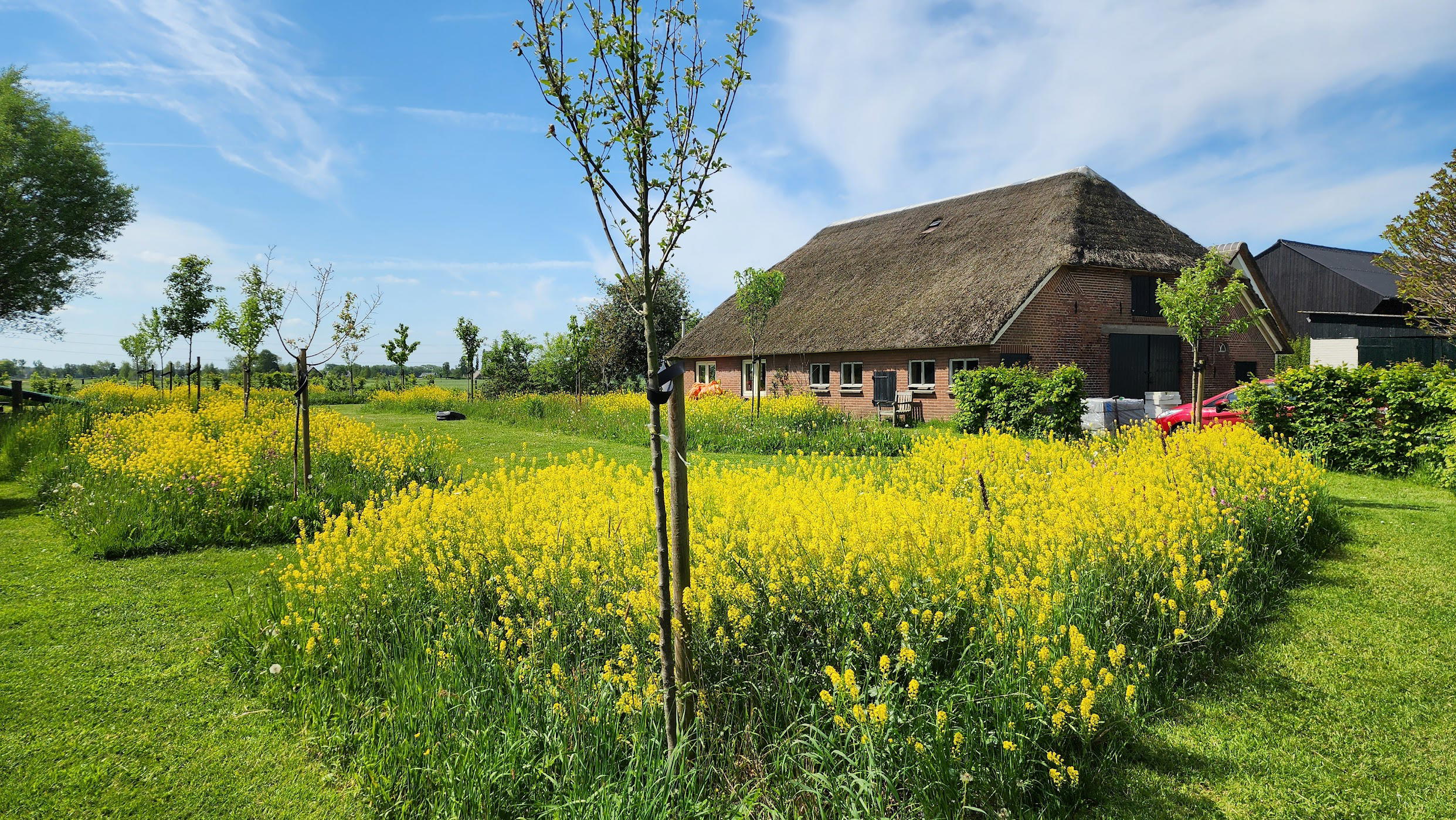 Nature house in Klarenbeek