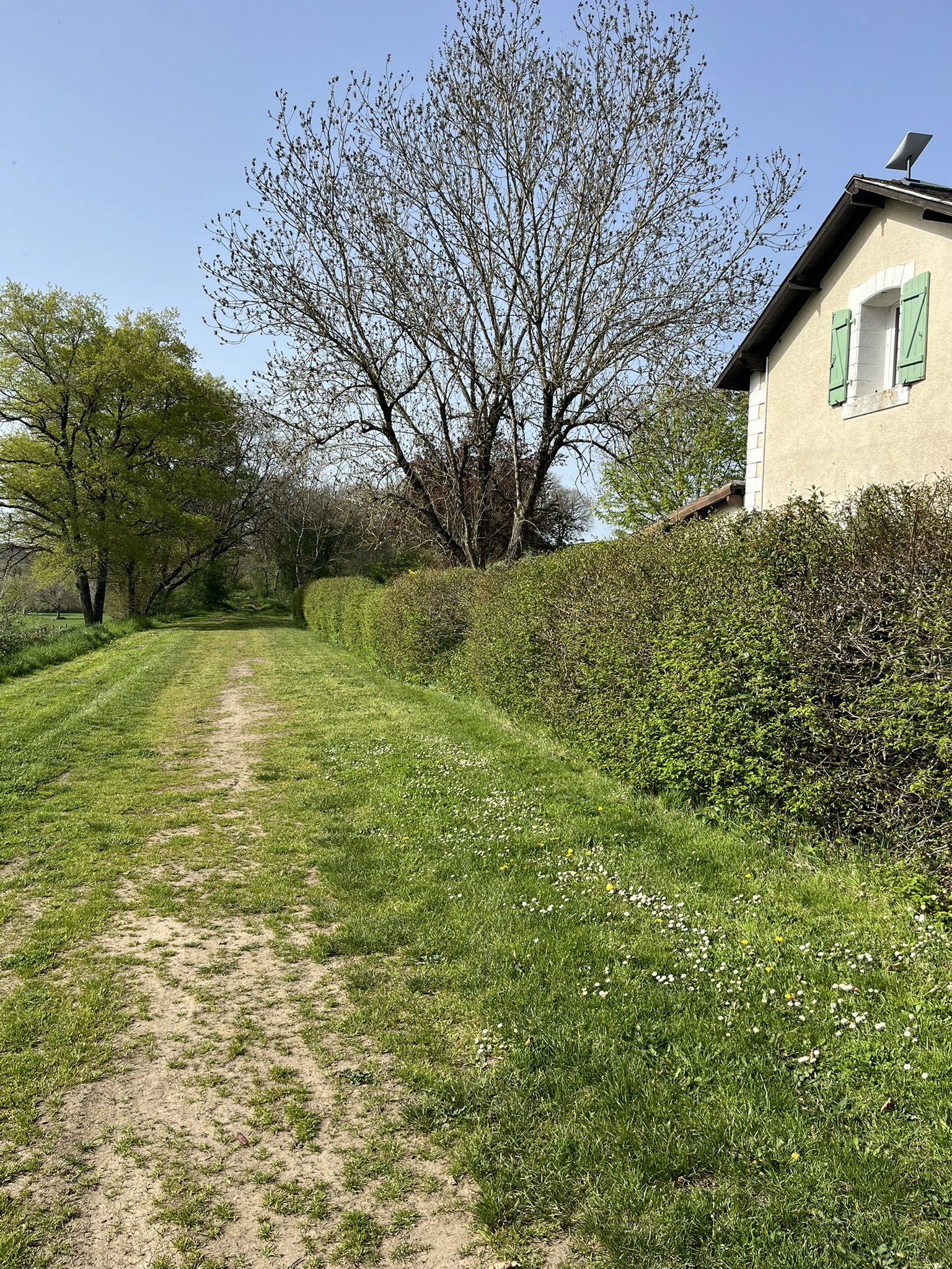 - image: 41