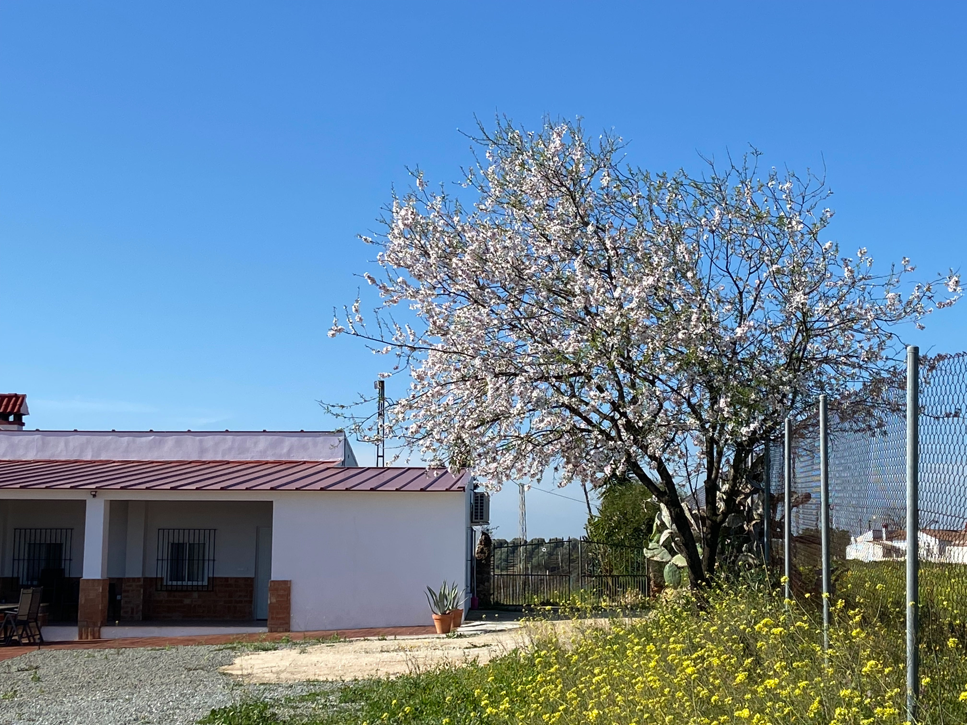 Natuurhuisje in Beas