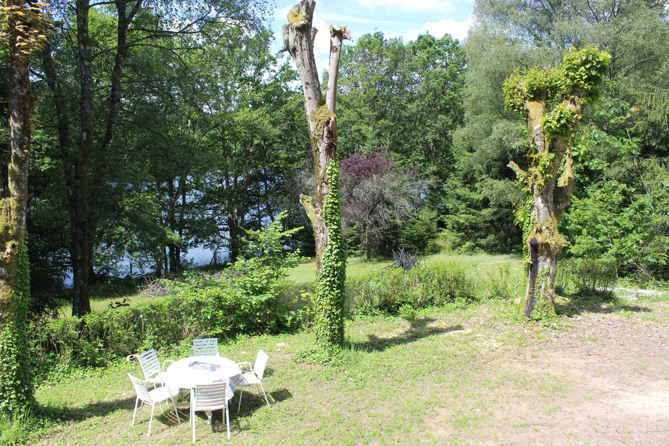 - image: 11