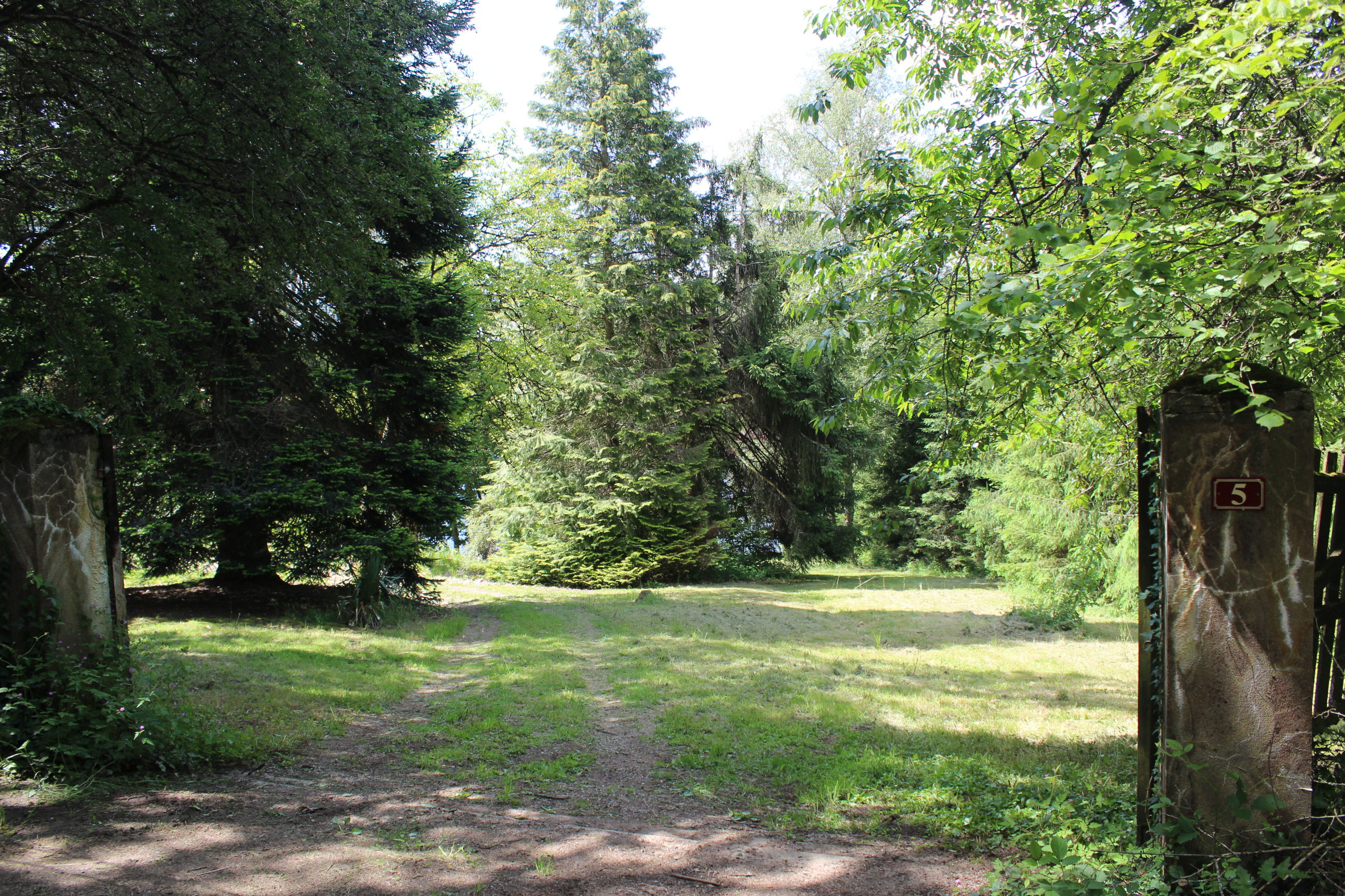 - image: 13