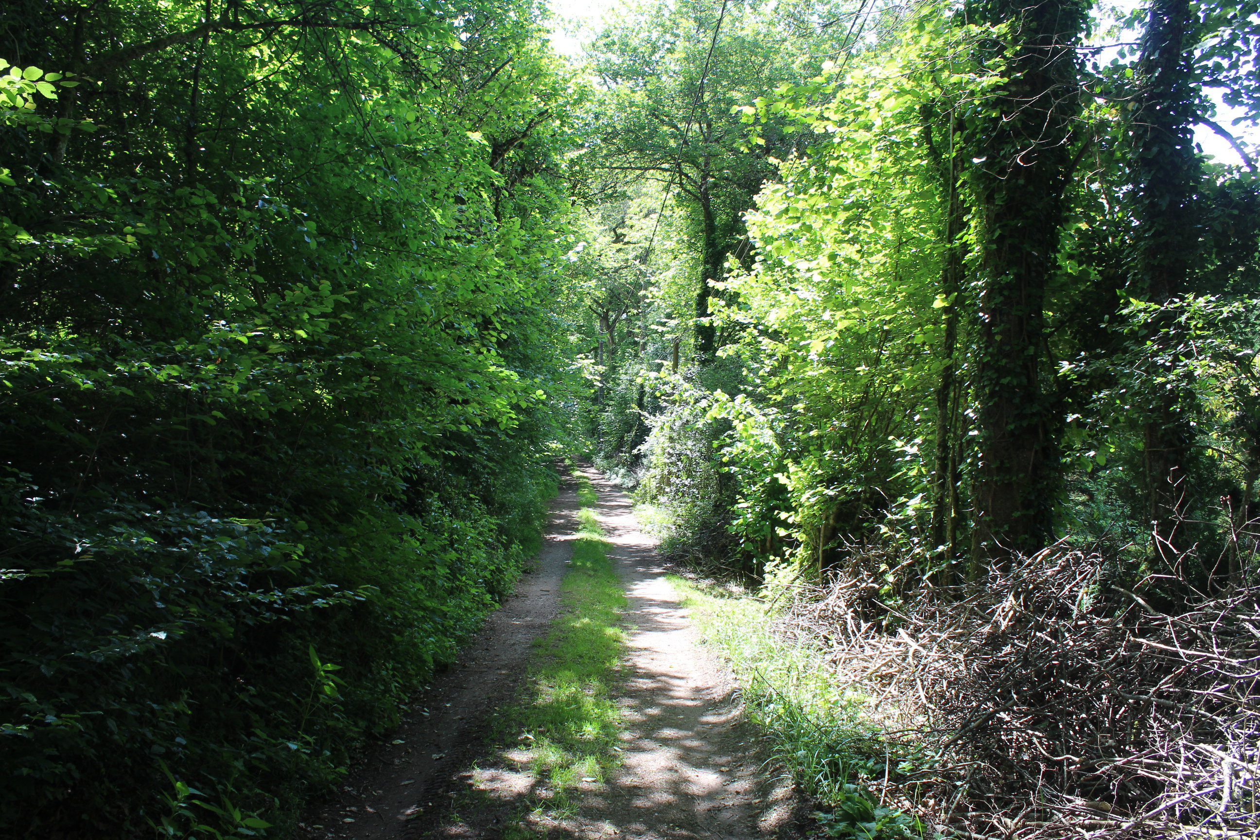 - image: 14
