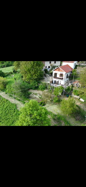 - image: 20