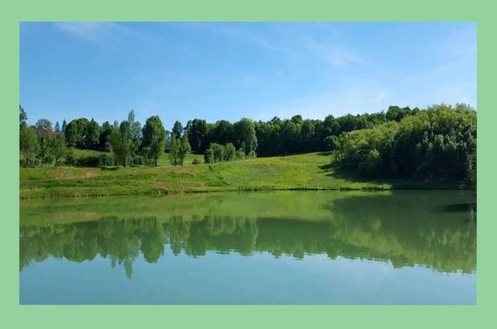 - image: 11