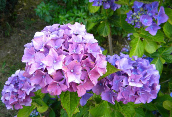 - image: 22