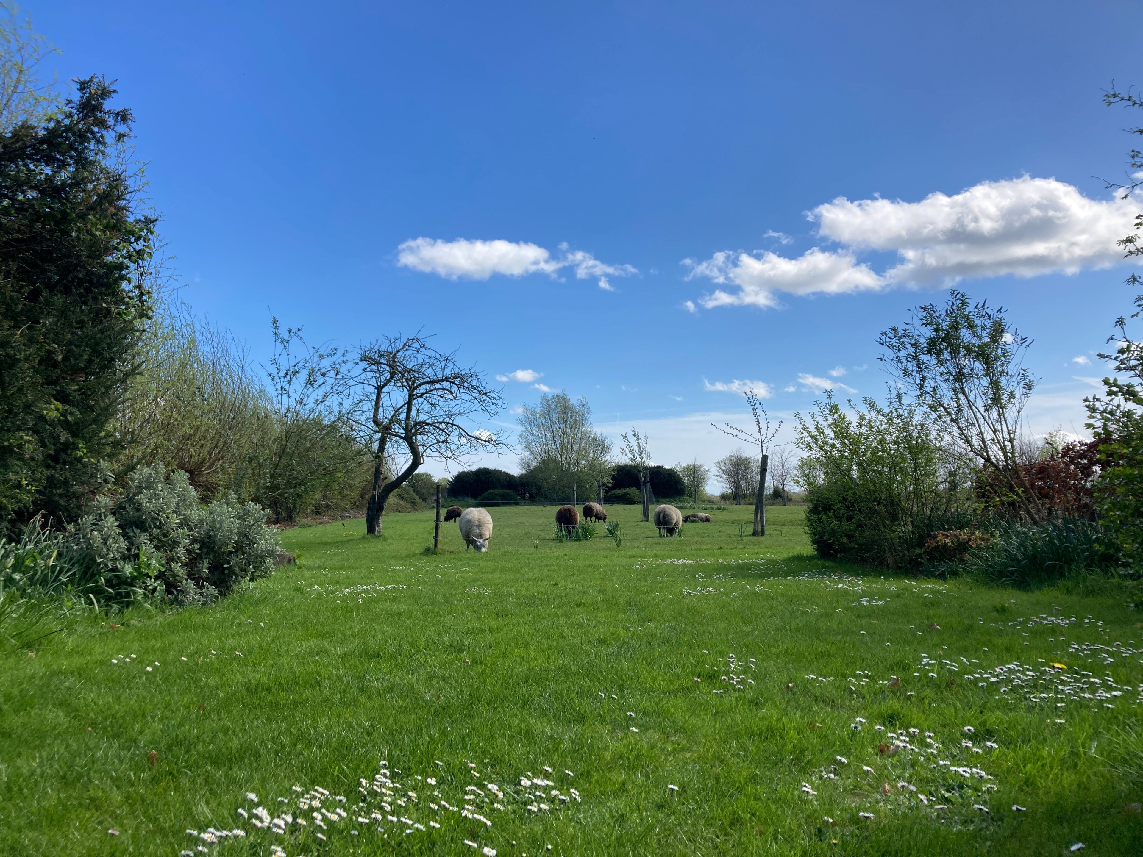 Natuurhuisje in Oostkapelle